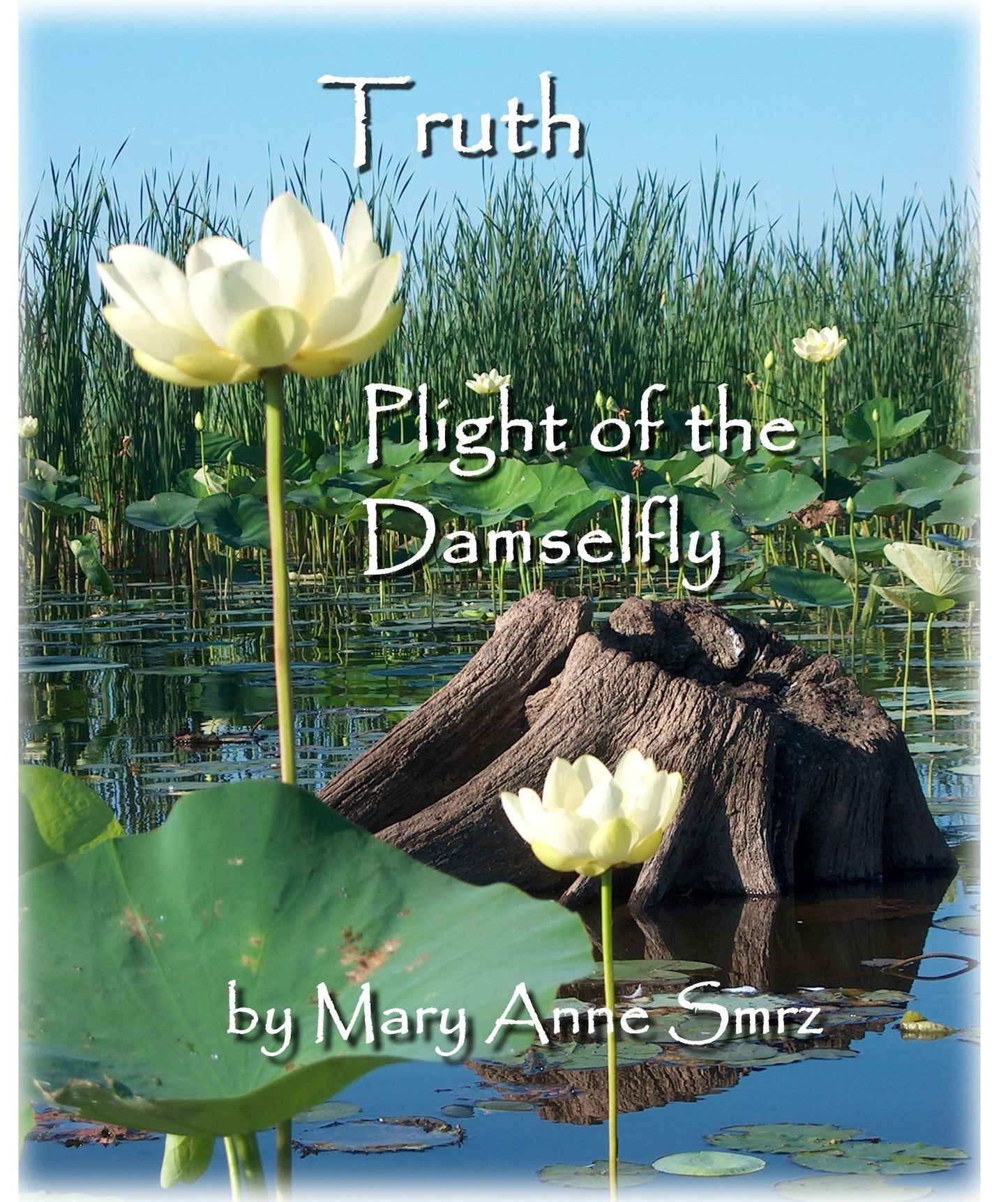 Truth, Plight of the Damselfly