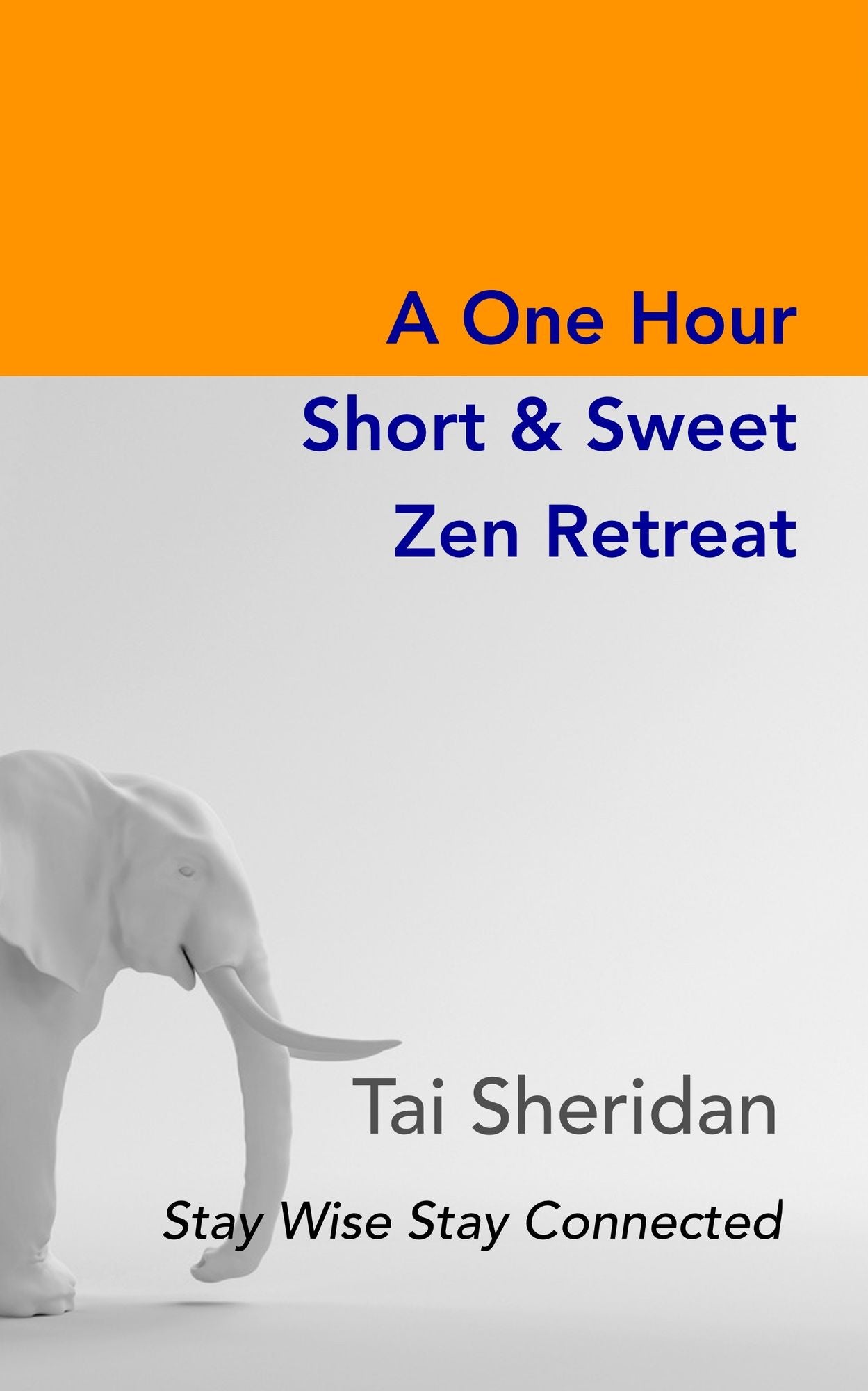 A One Hour Short & Sweet Zen Retreat
