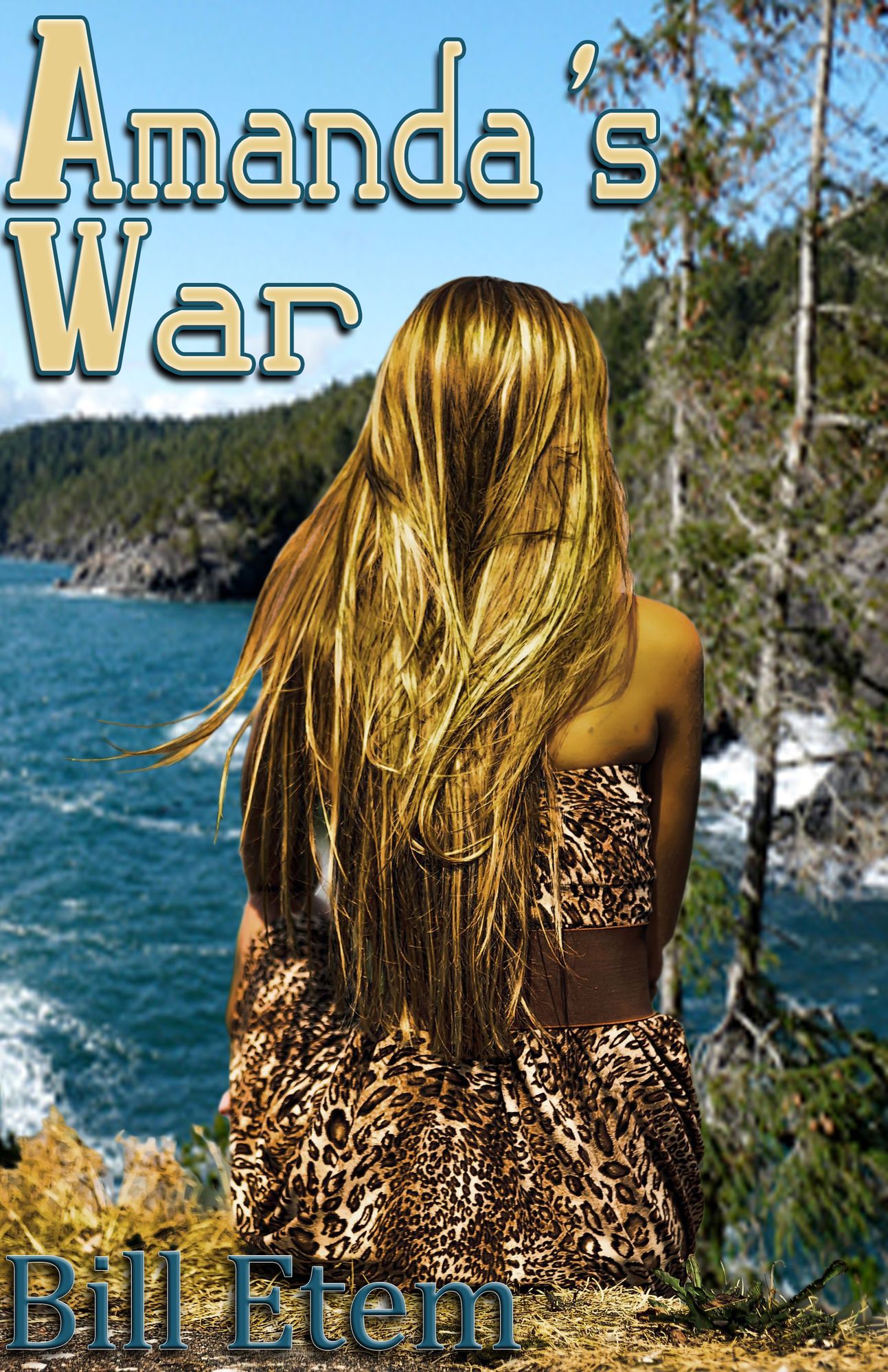 'Amanda's War'