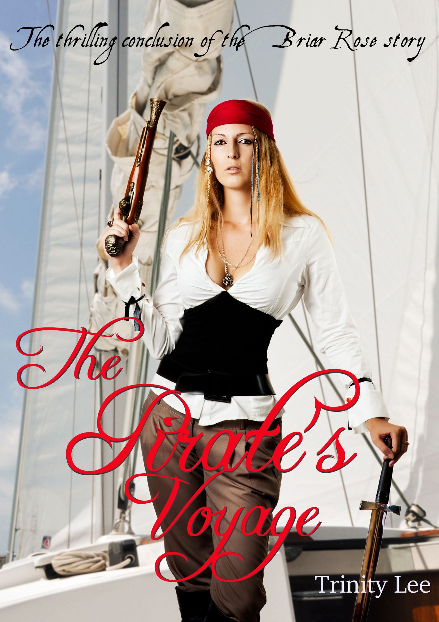The Pirate's Voyage