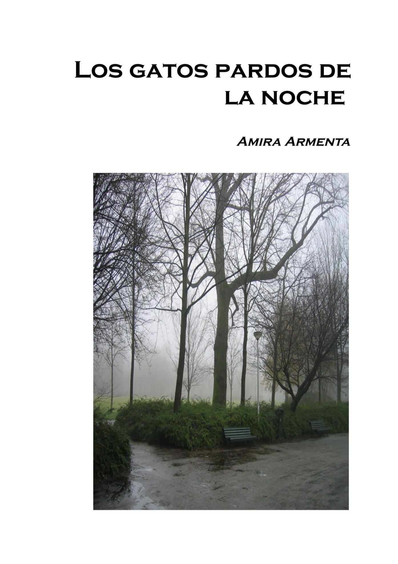 Los gatos pardos de la noche