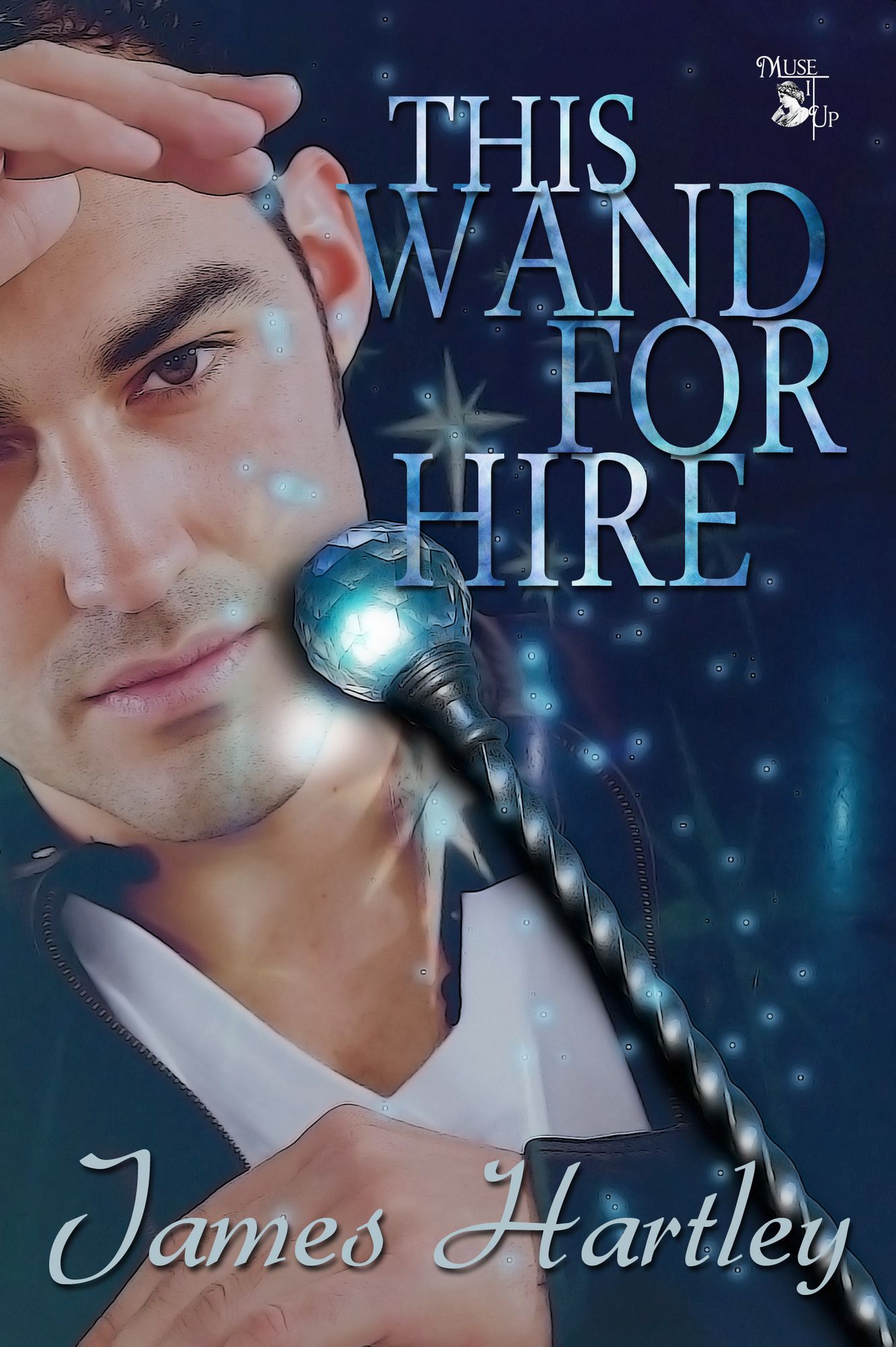 This Wand for Hire