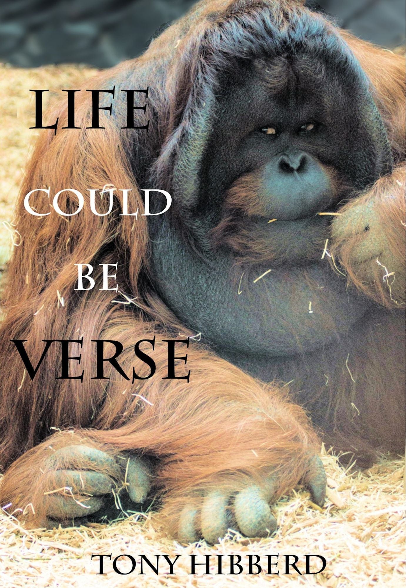 Life Could be Verse