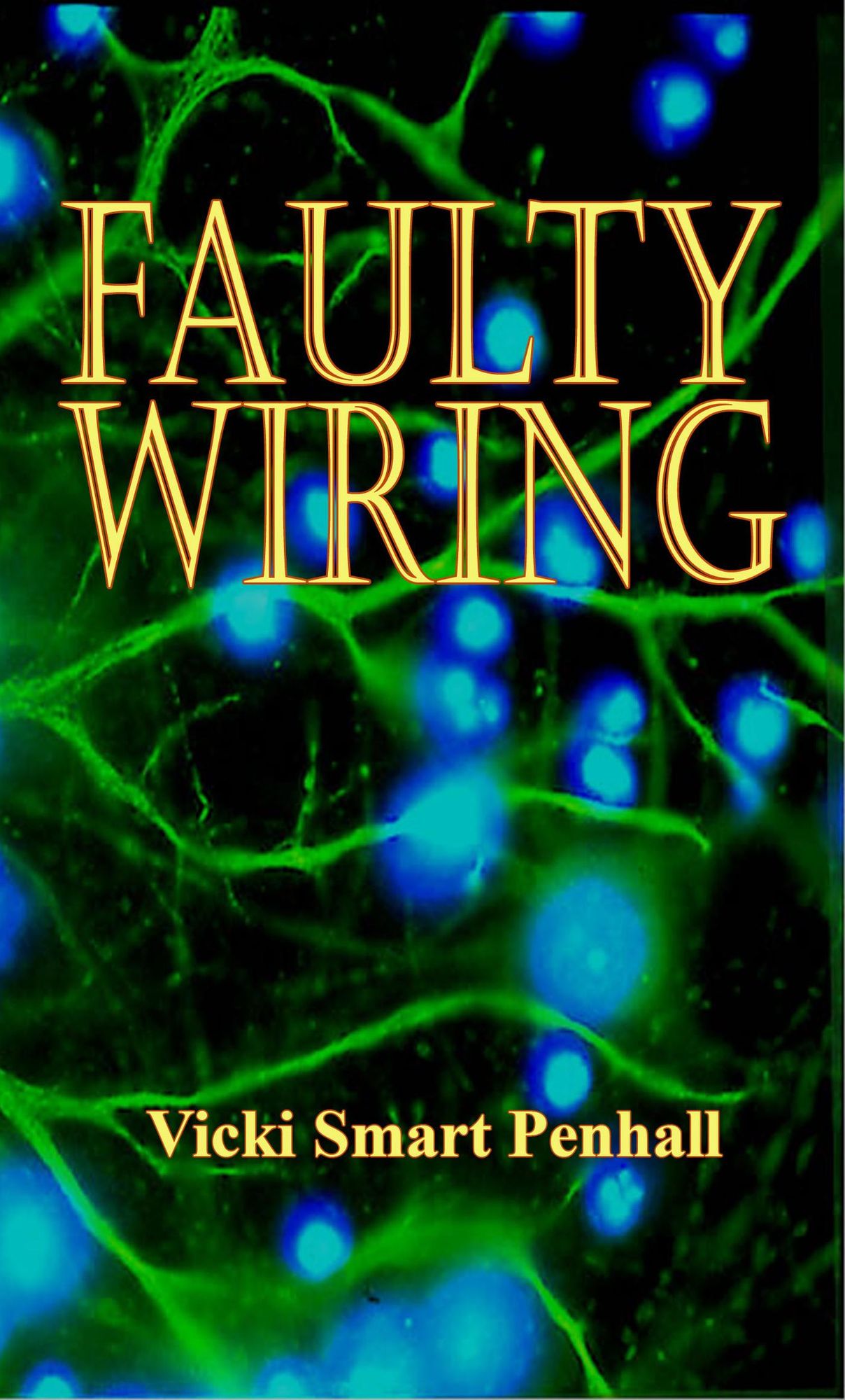 Faulty Wiring