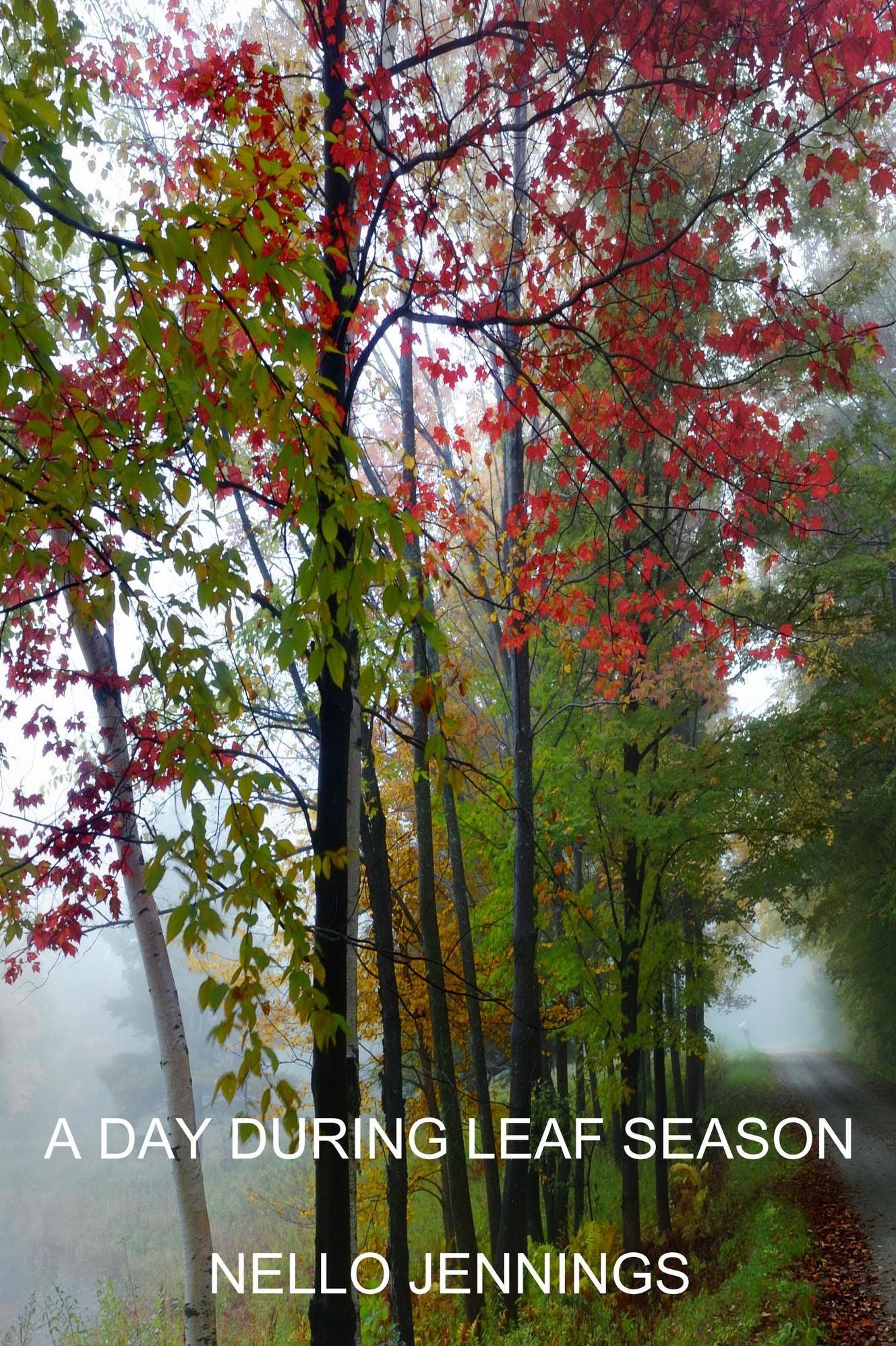 A Day During Leaf Season
