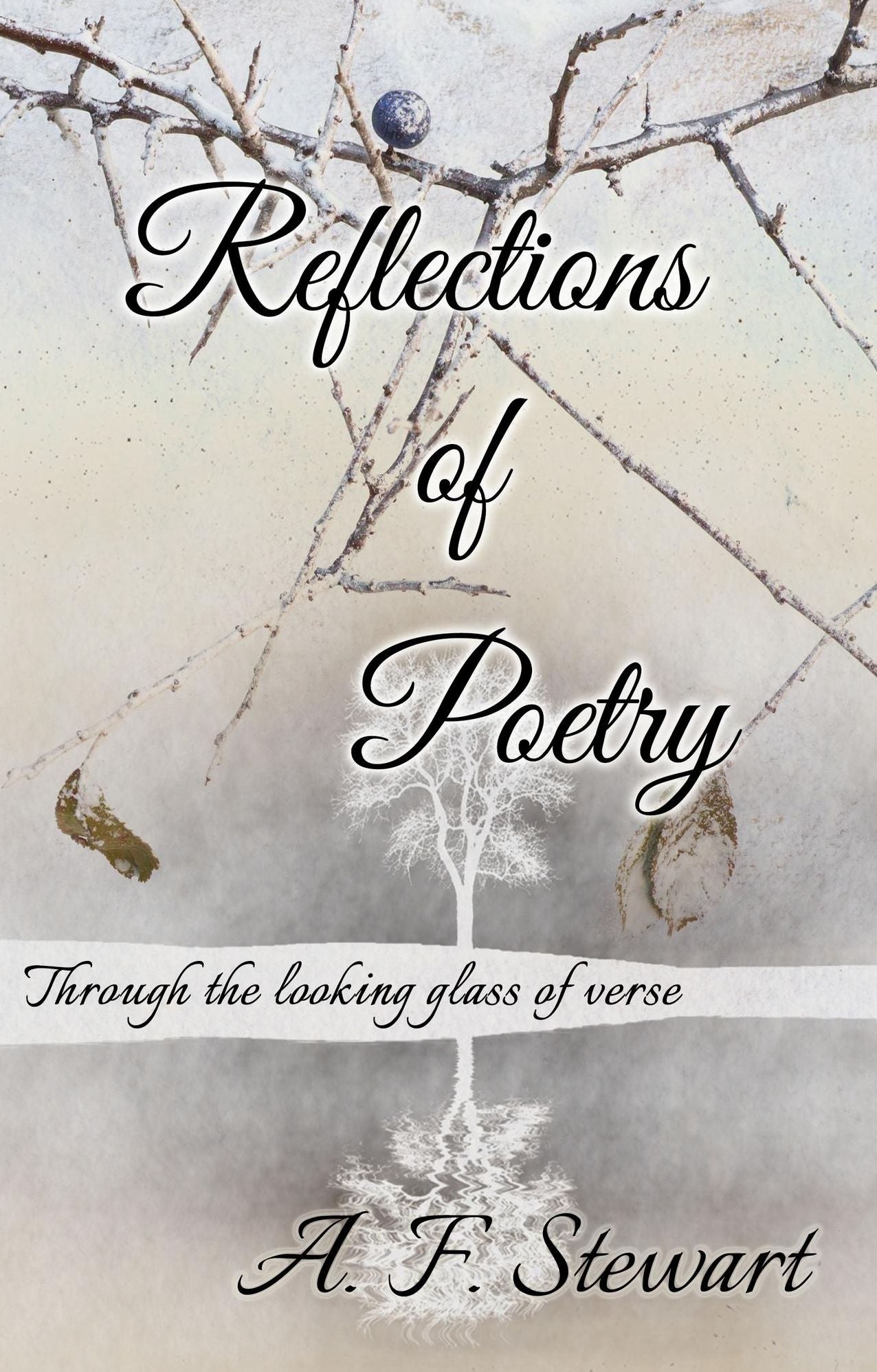 Reflections of Poetry