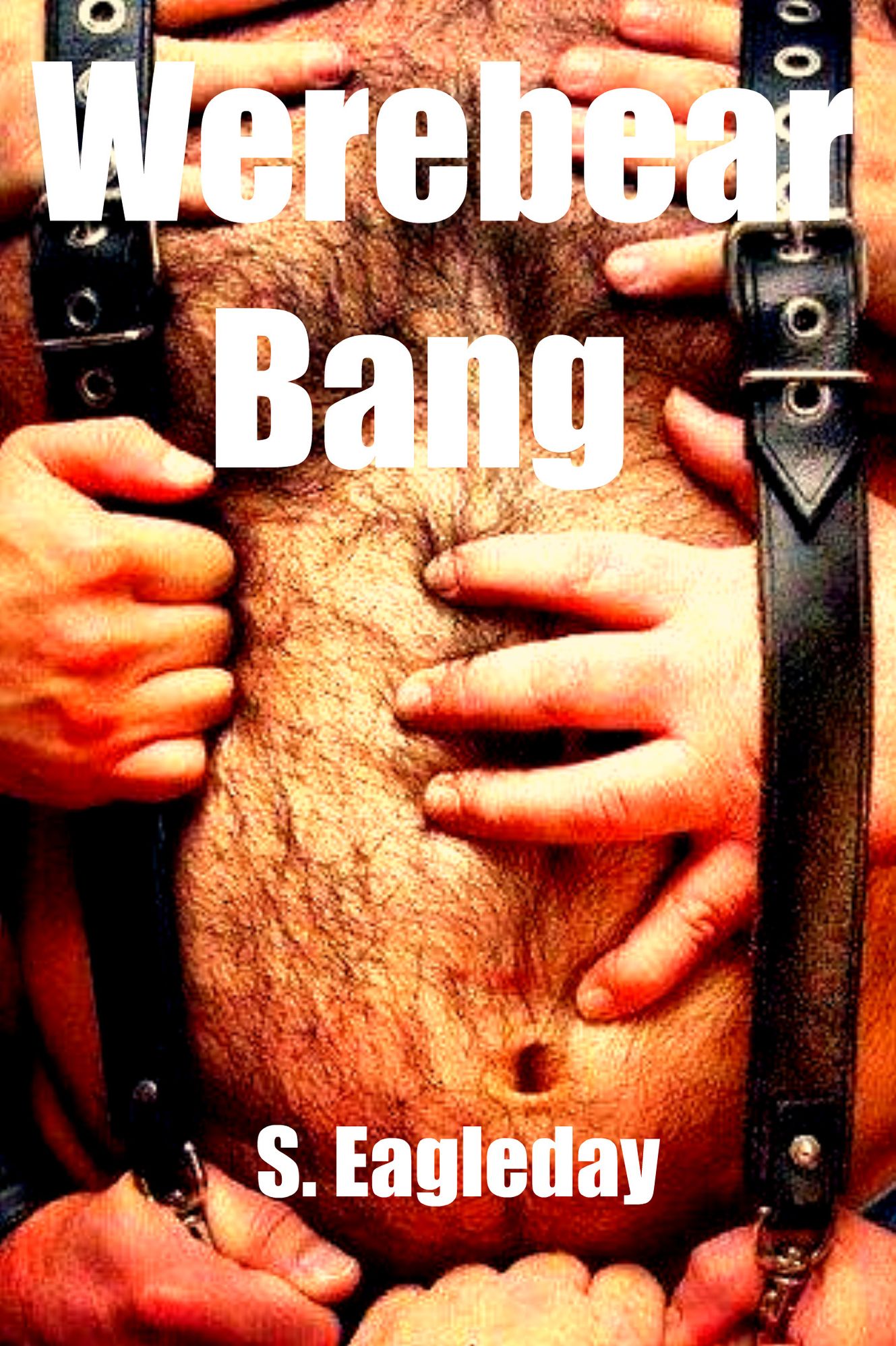 Werebear Bang (Tales Of The Werebear Volume 2)
