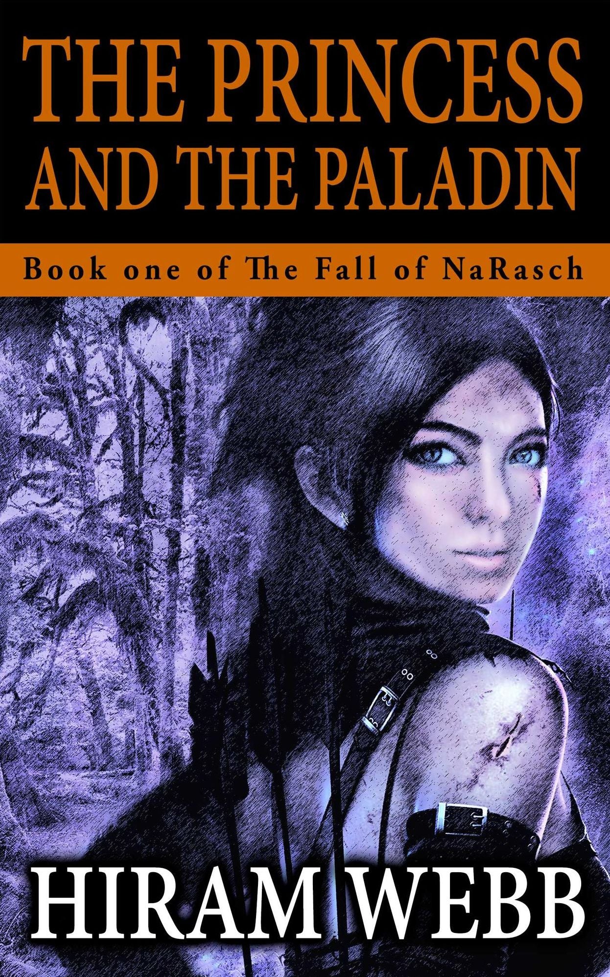 The Princess and the Paladin