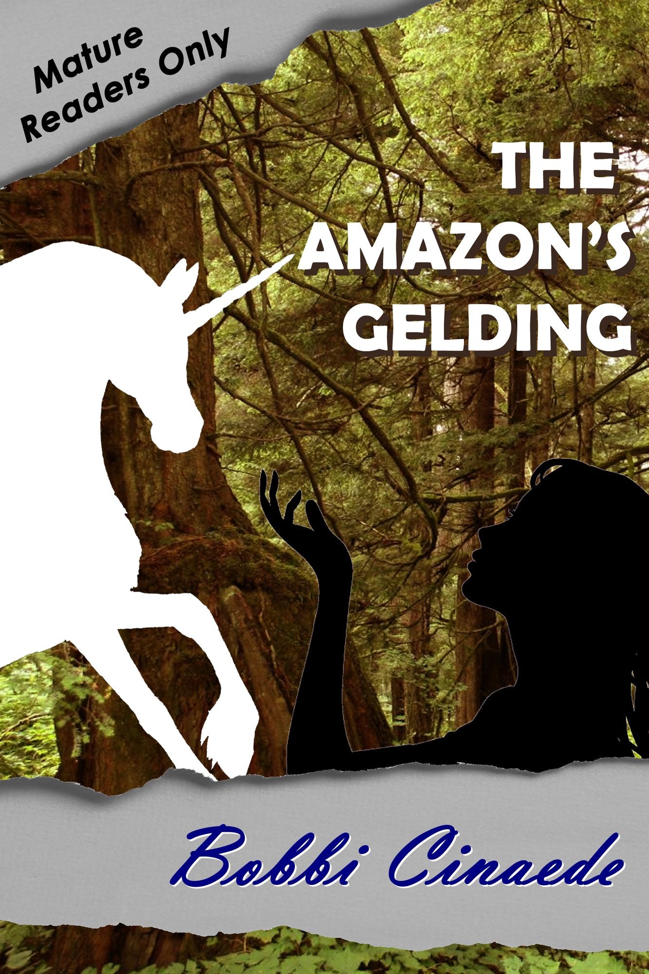 The Amazon's Gelding
