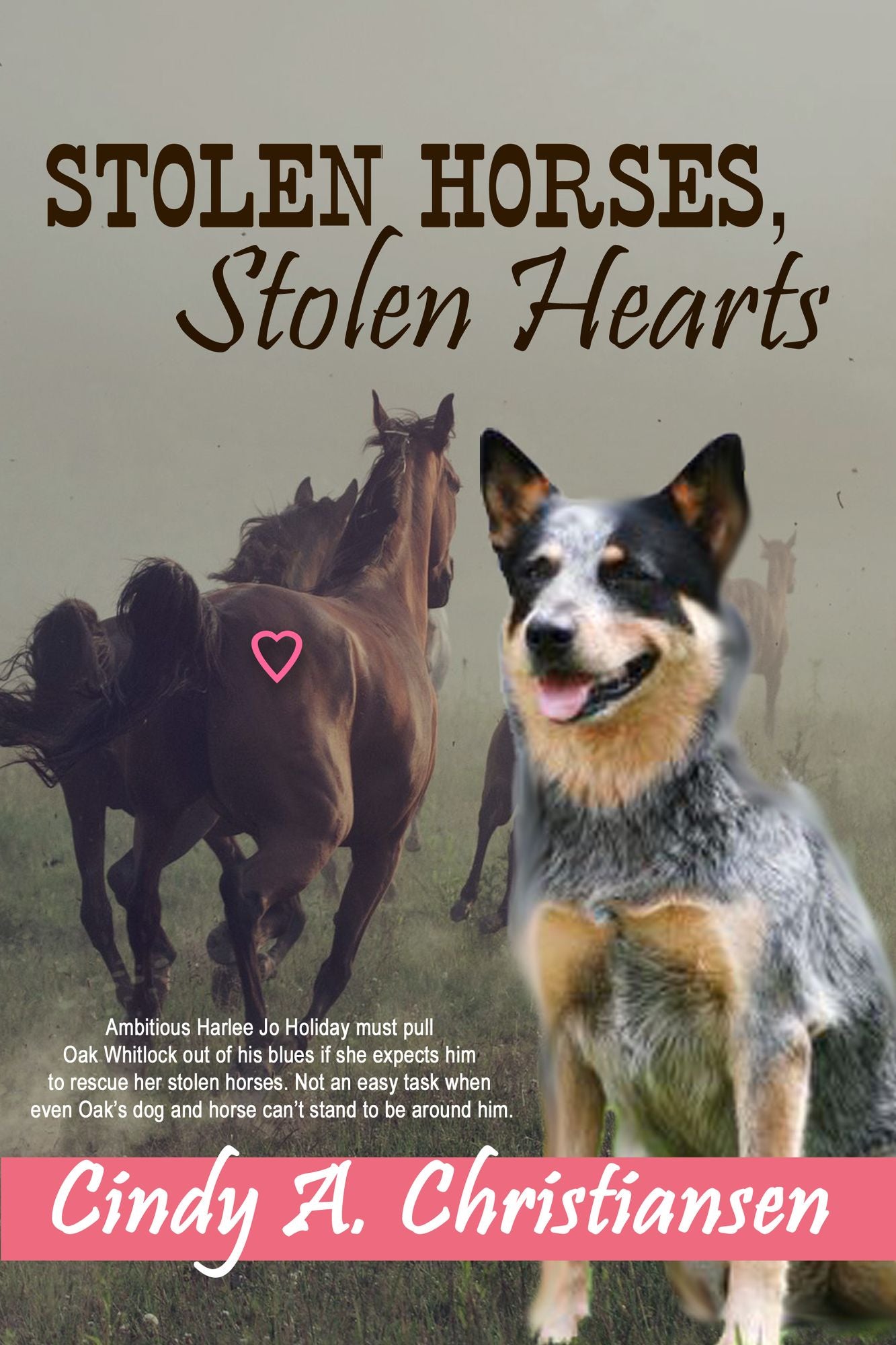 Stolen Horses, Stolen Hearts
