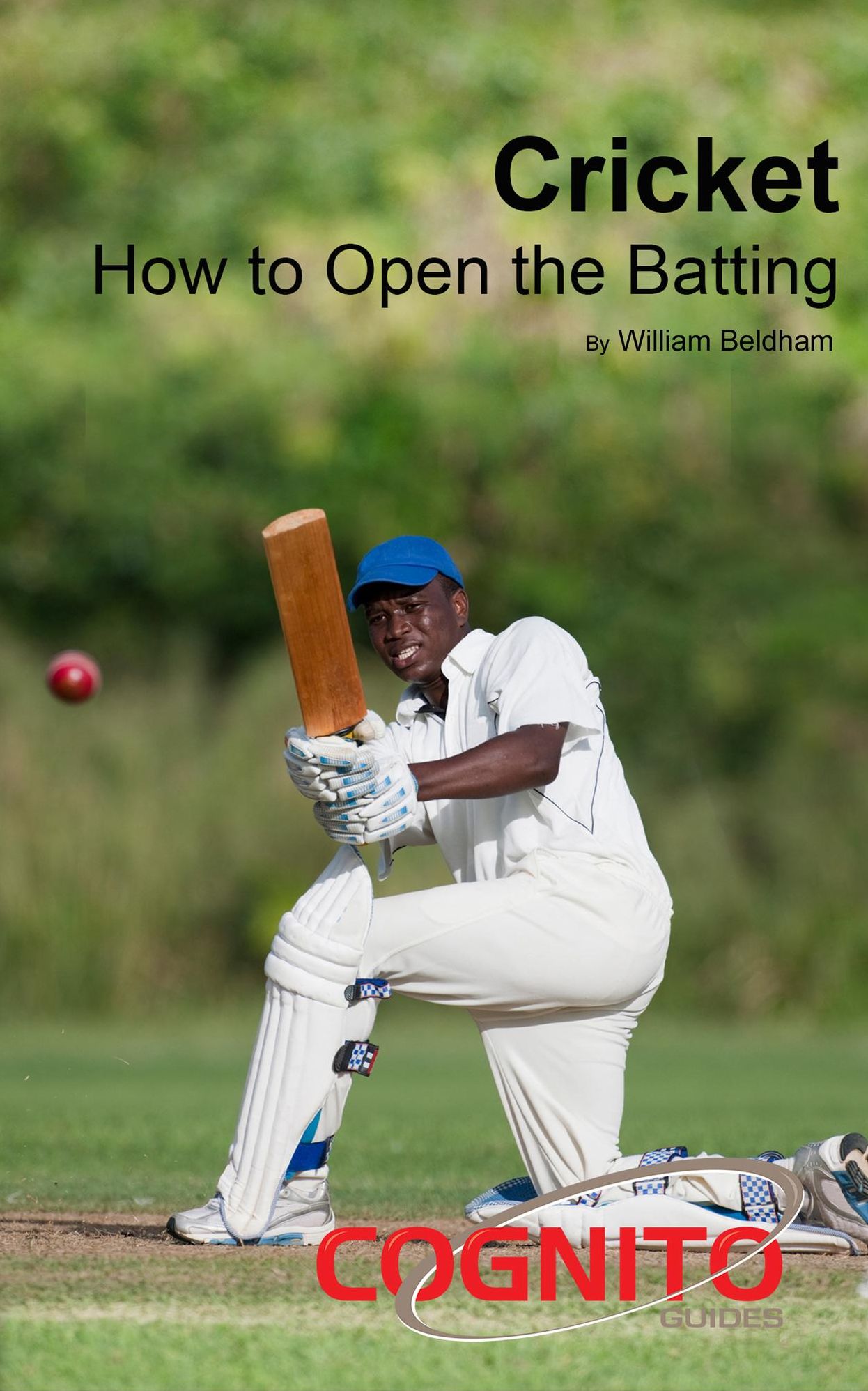 Cricket: How to Open the Batting