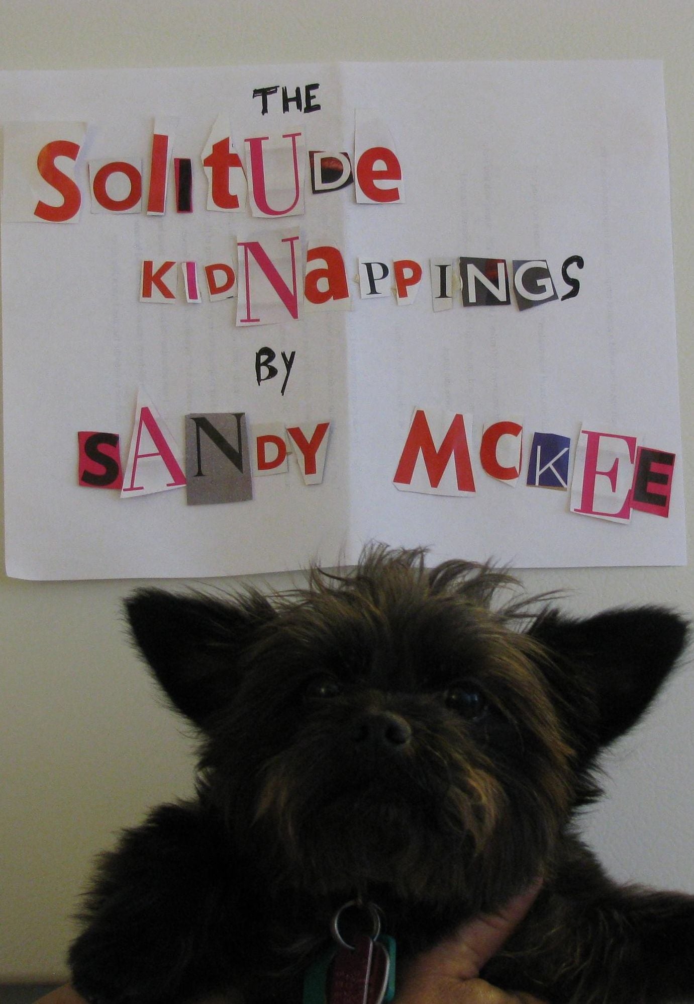 The Solitude Kidnappings