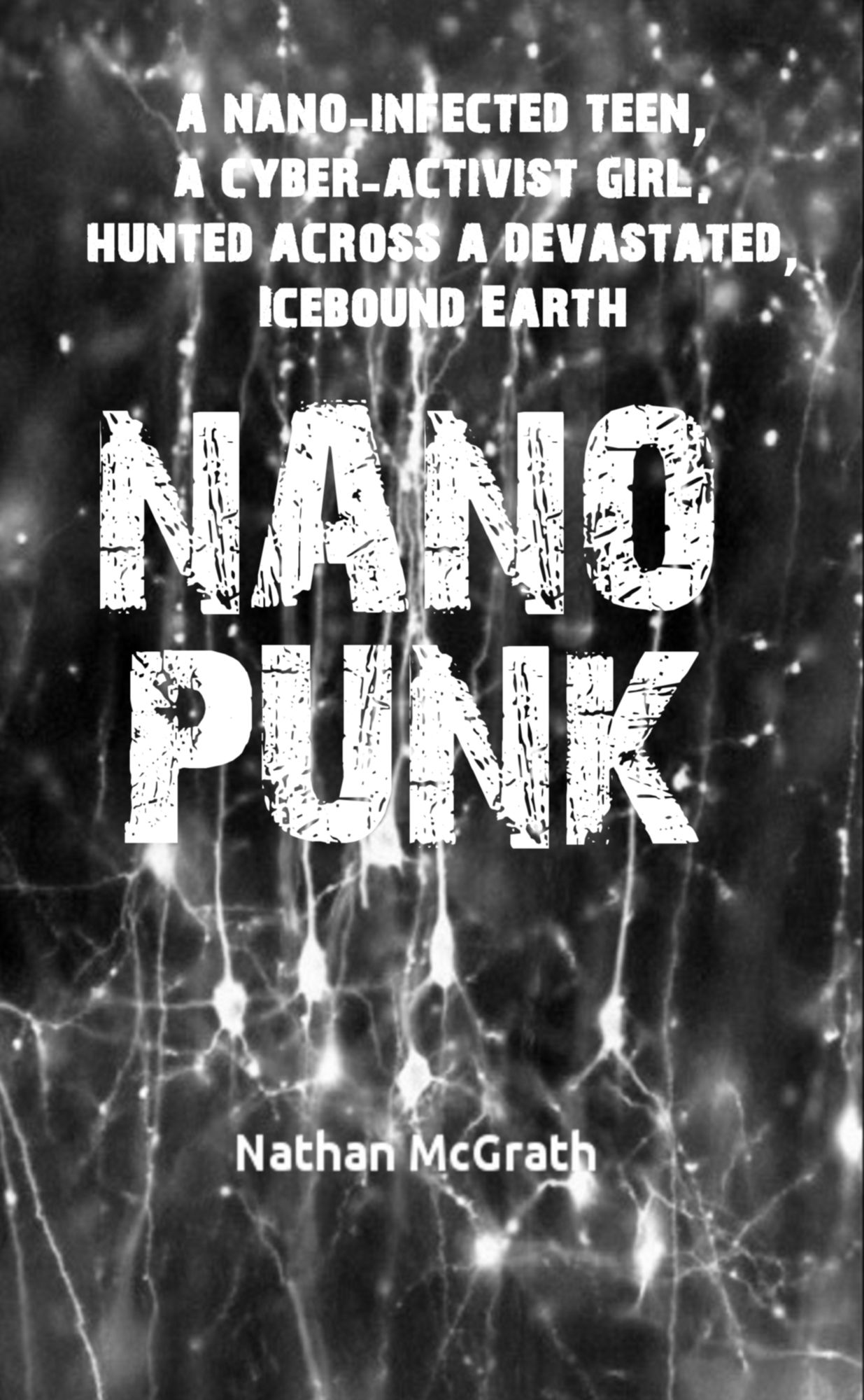 Nanopunk
