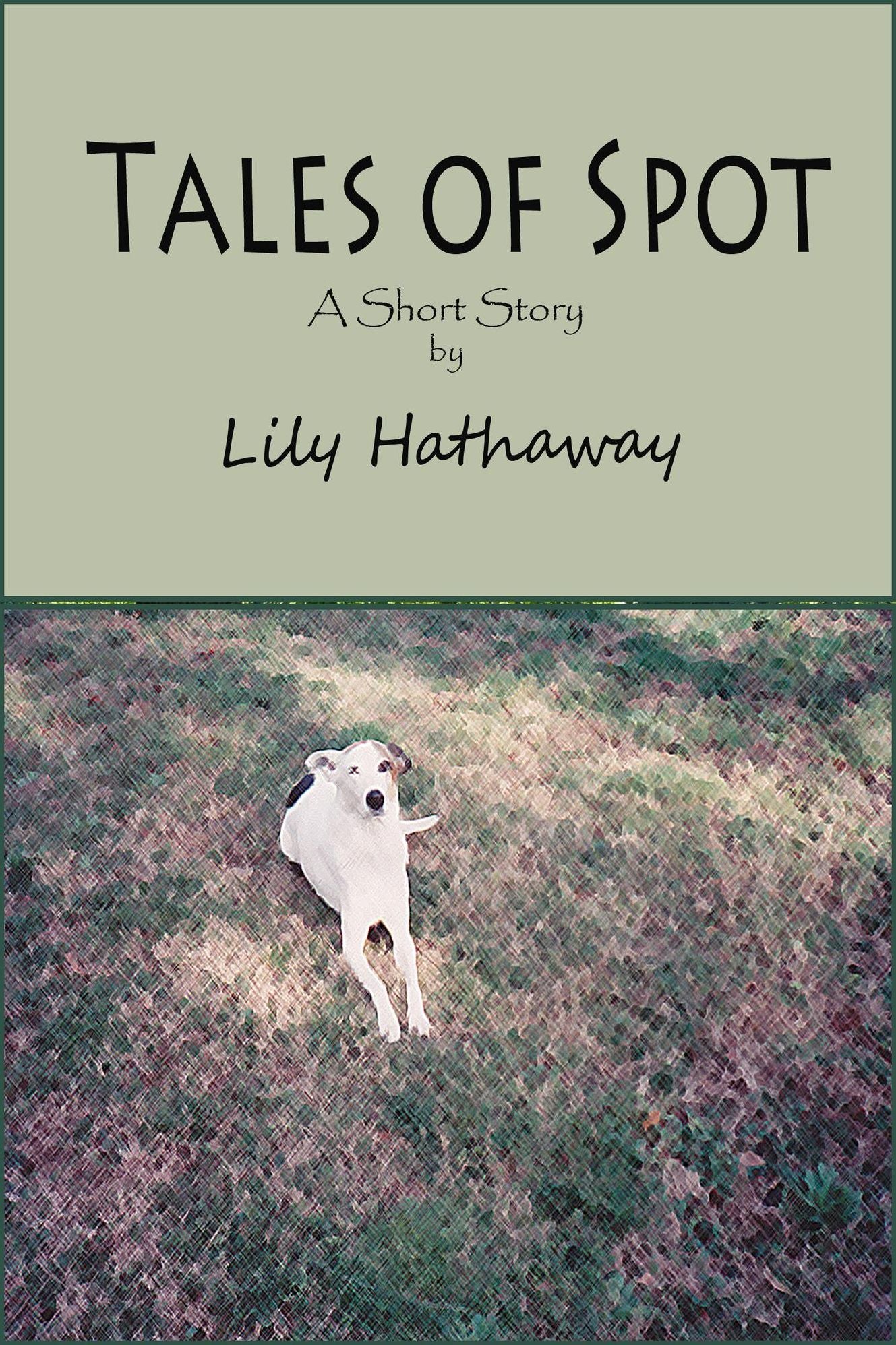 Tales of Spot