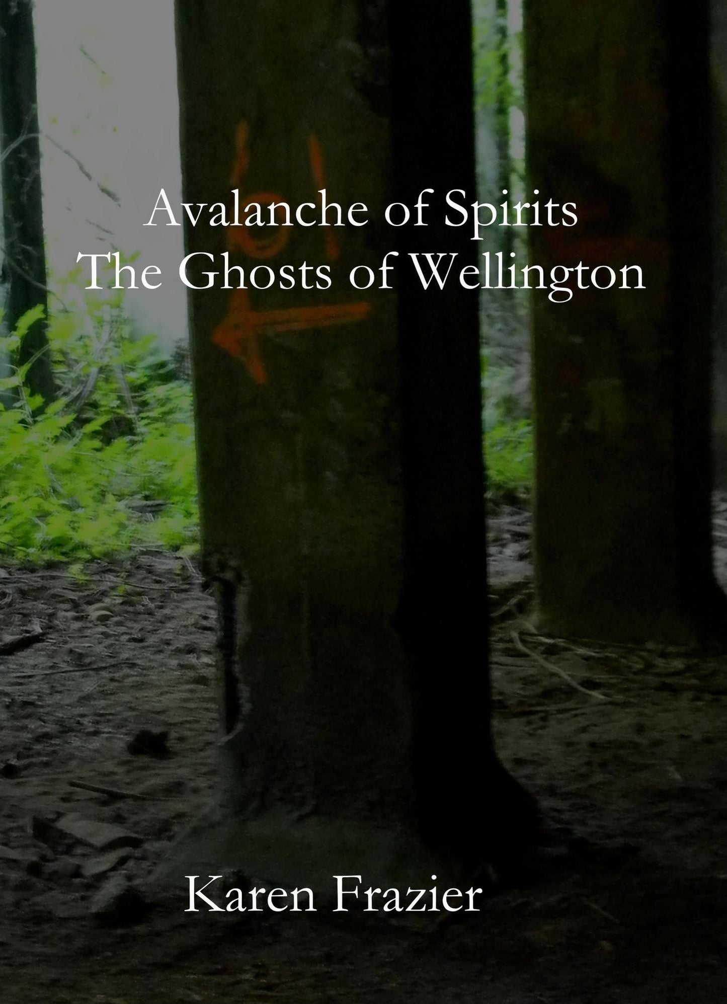 Avalanche of Spirits: The Ghosts of Wellington