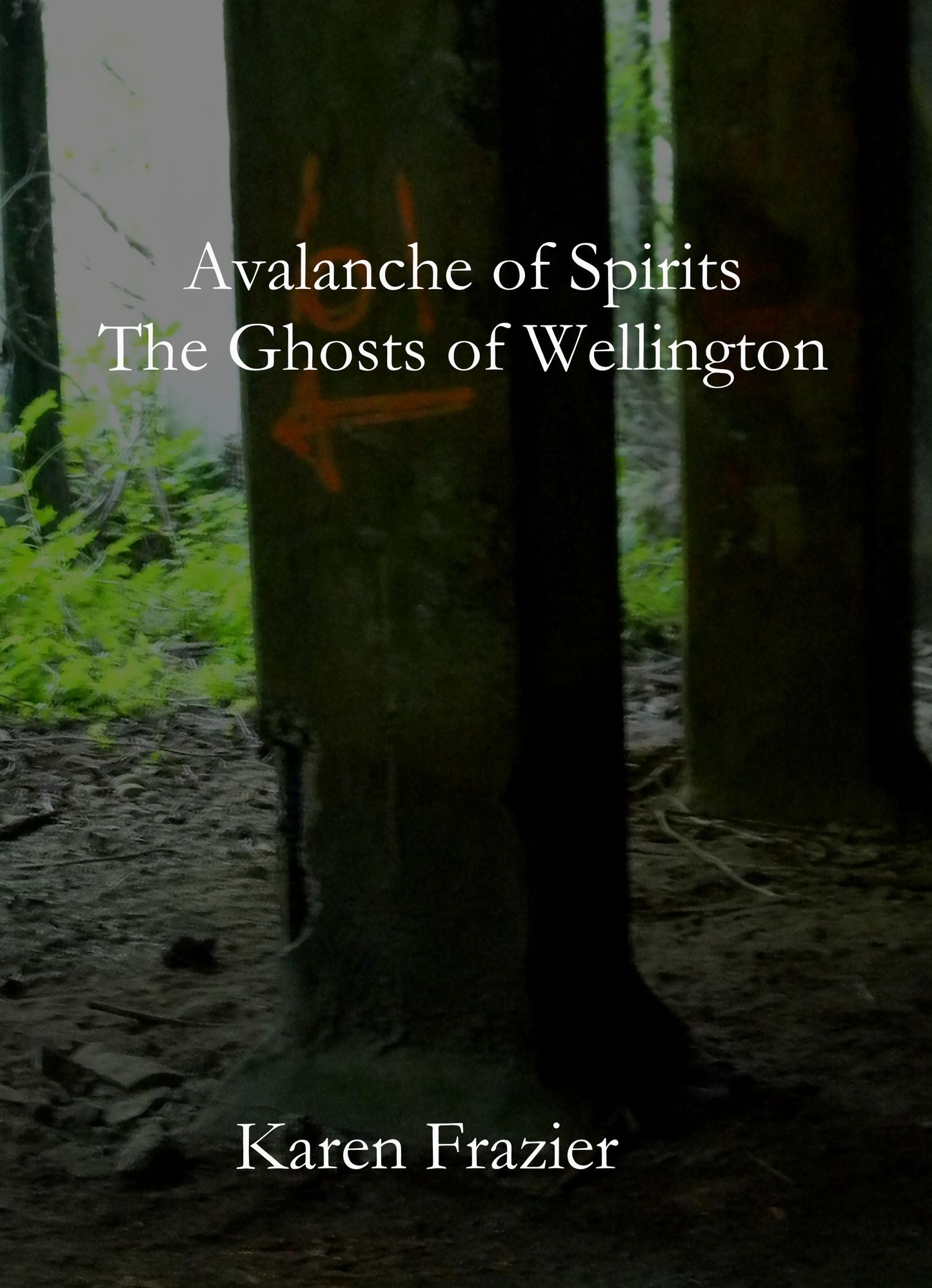 Avalanche of Spirits: The Ghosts of Wellington