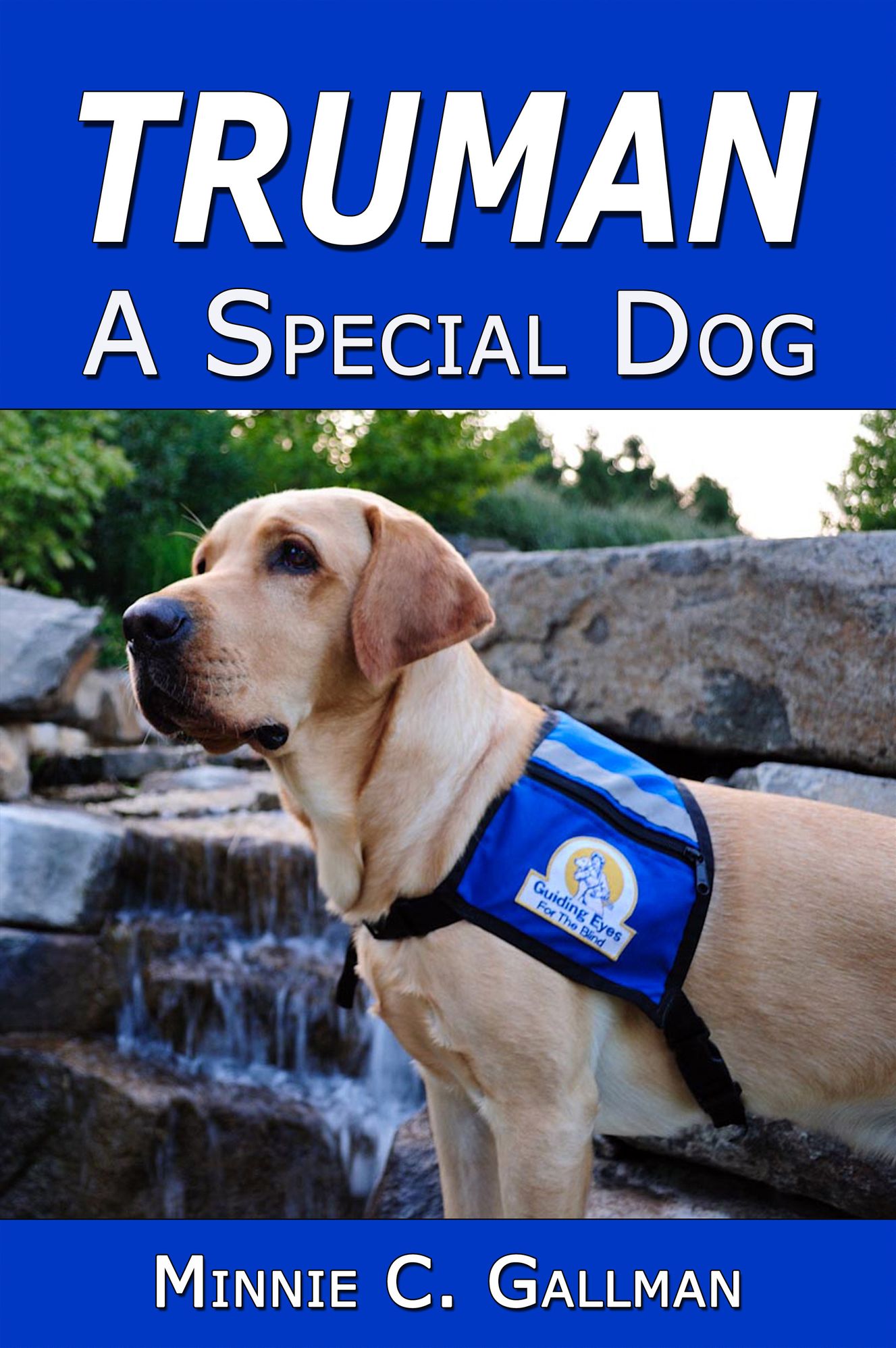 Truman: A Special Dog