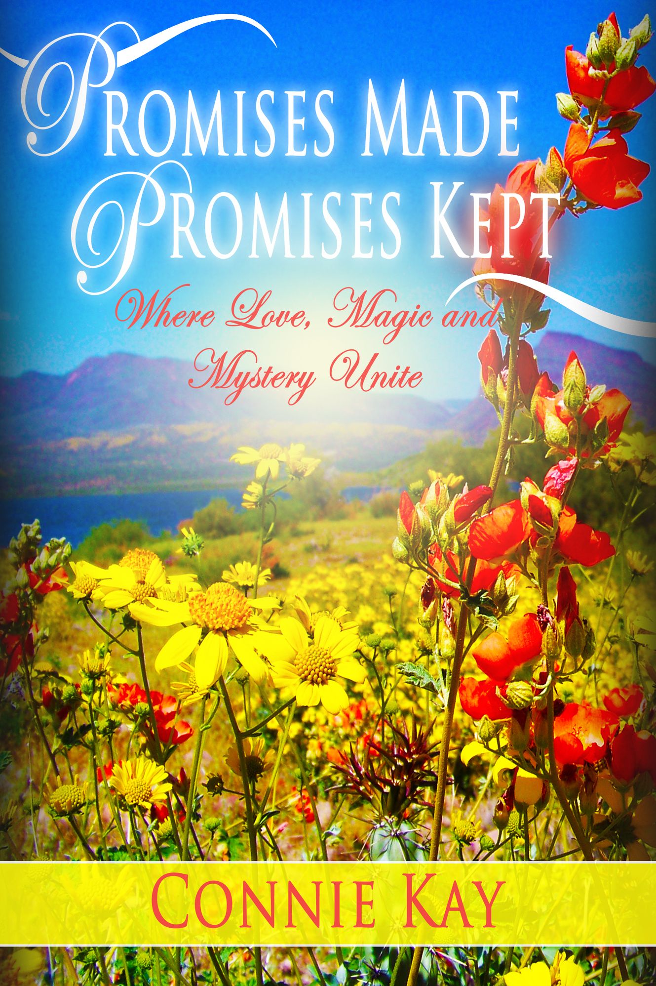 Promises Made Promises Kept