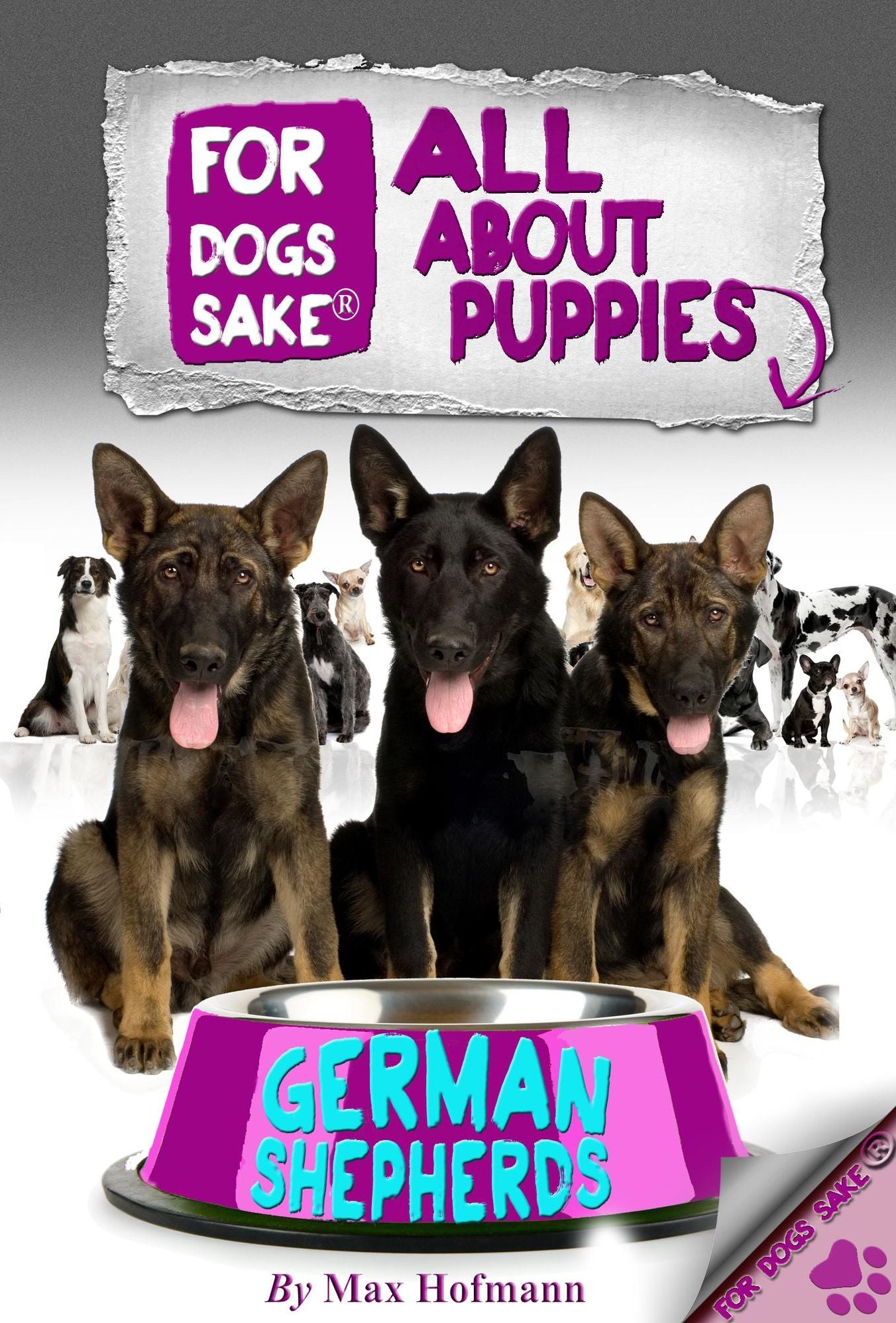 All About German Shepherd Puppies