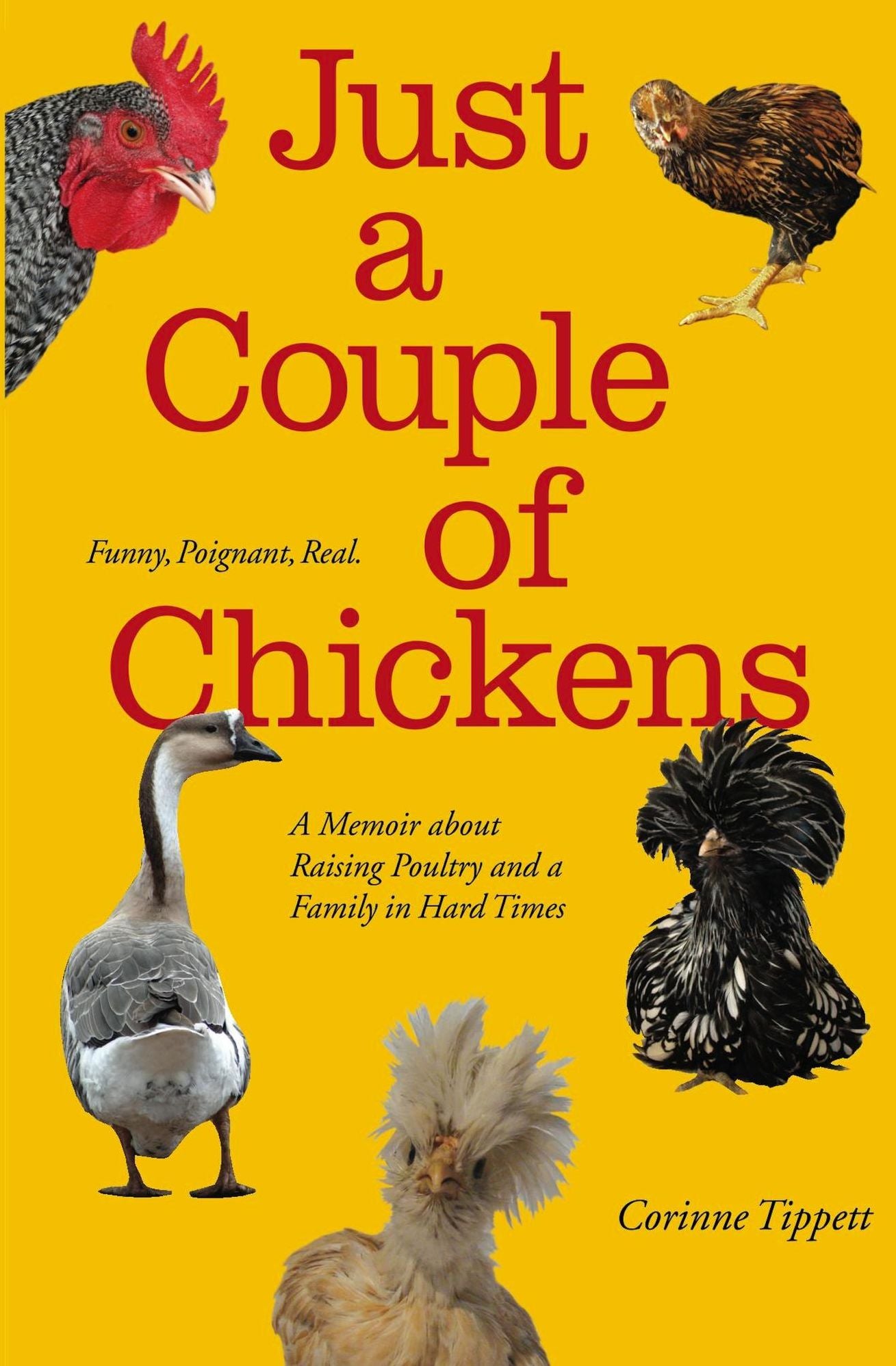 Just A Couple Of Chickens