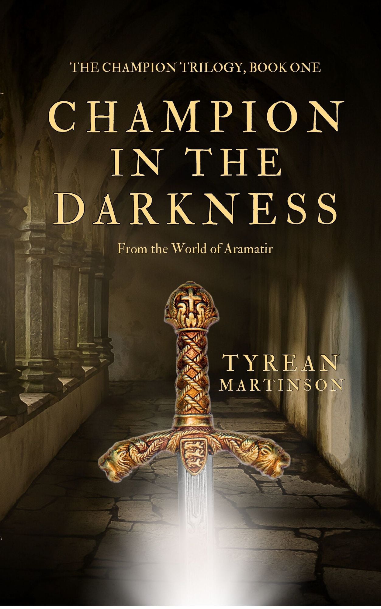 Champion in the Darkness