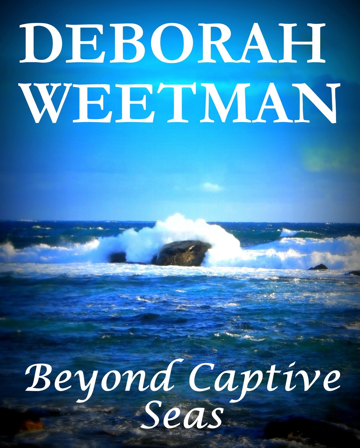 Beyond Captive Seas