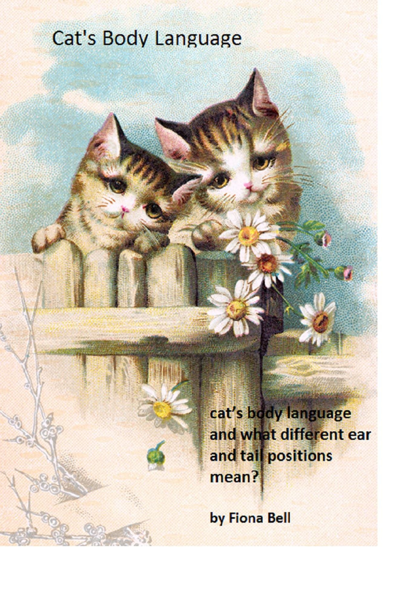 Cat´s Body Language