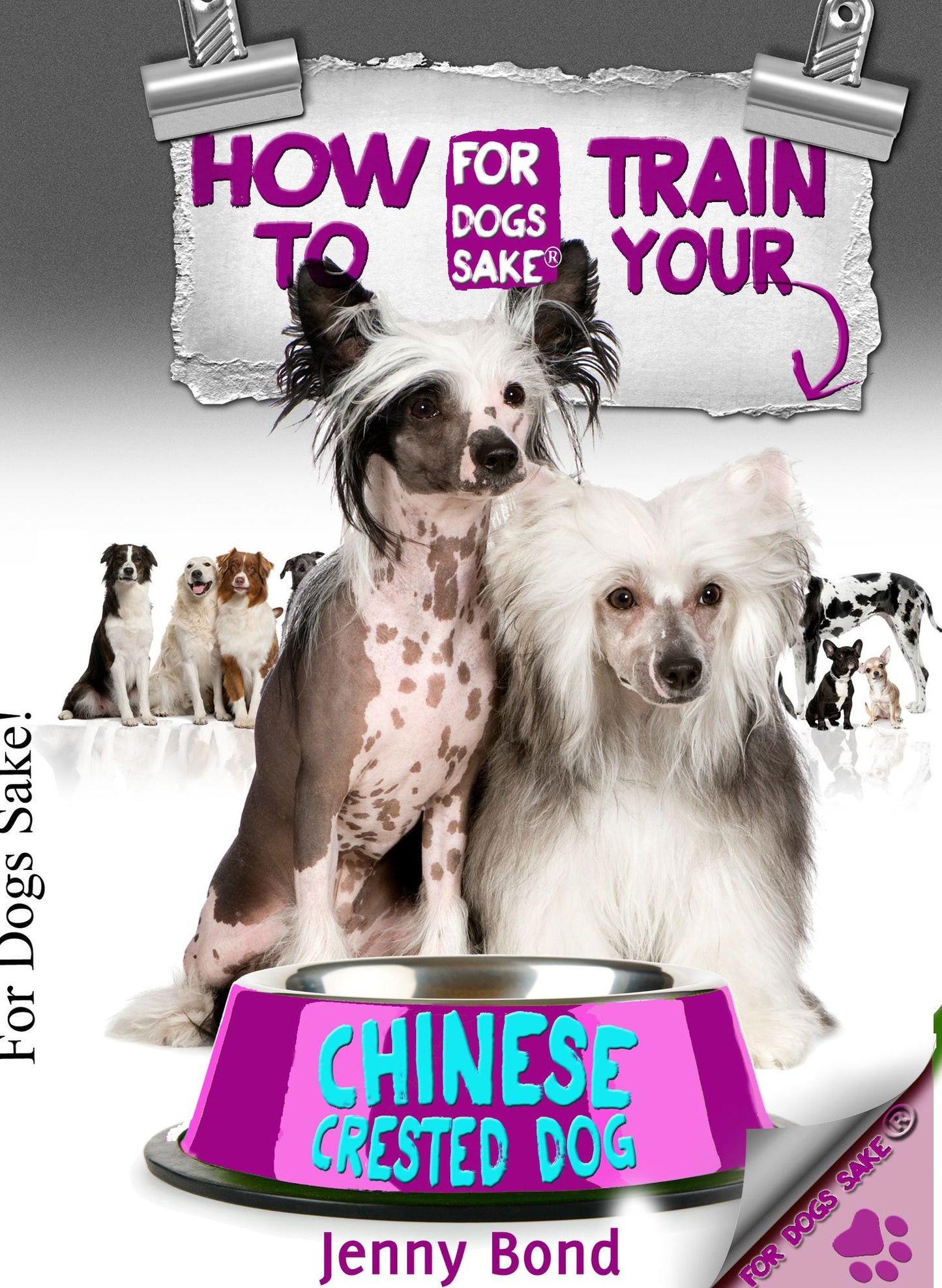 How To Train Your Chinese Crested Dog