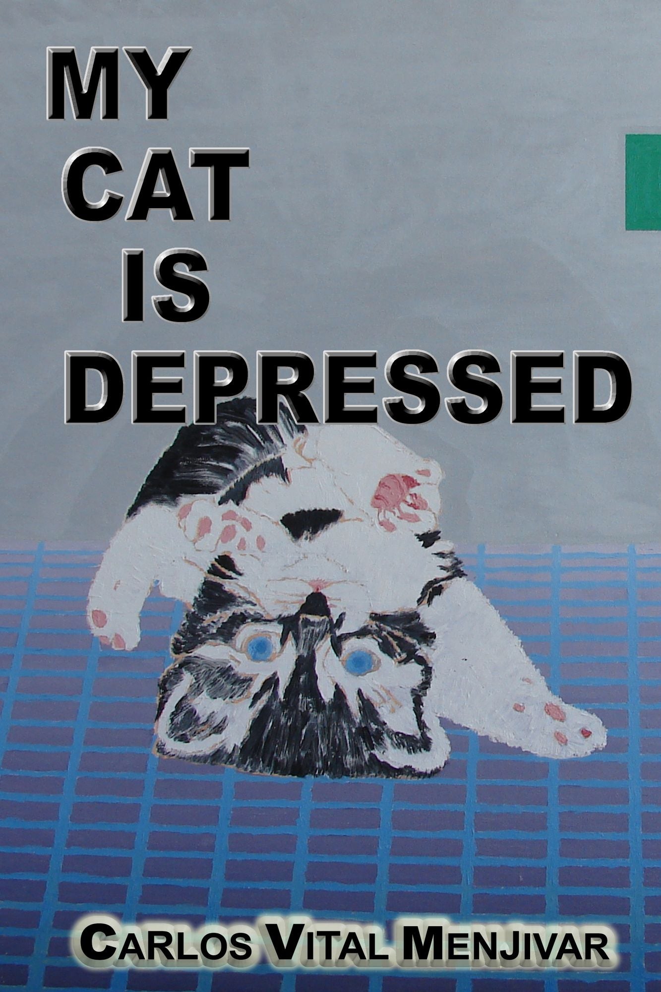 My Cat Is Depressed