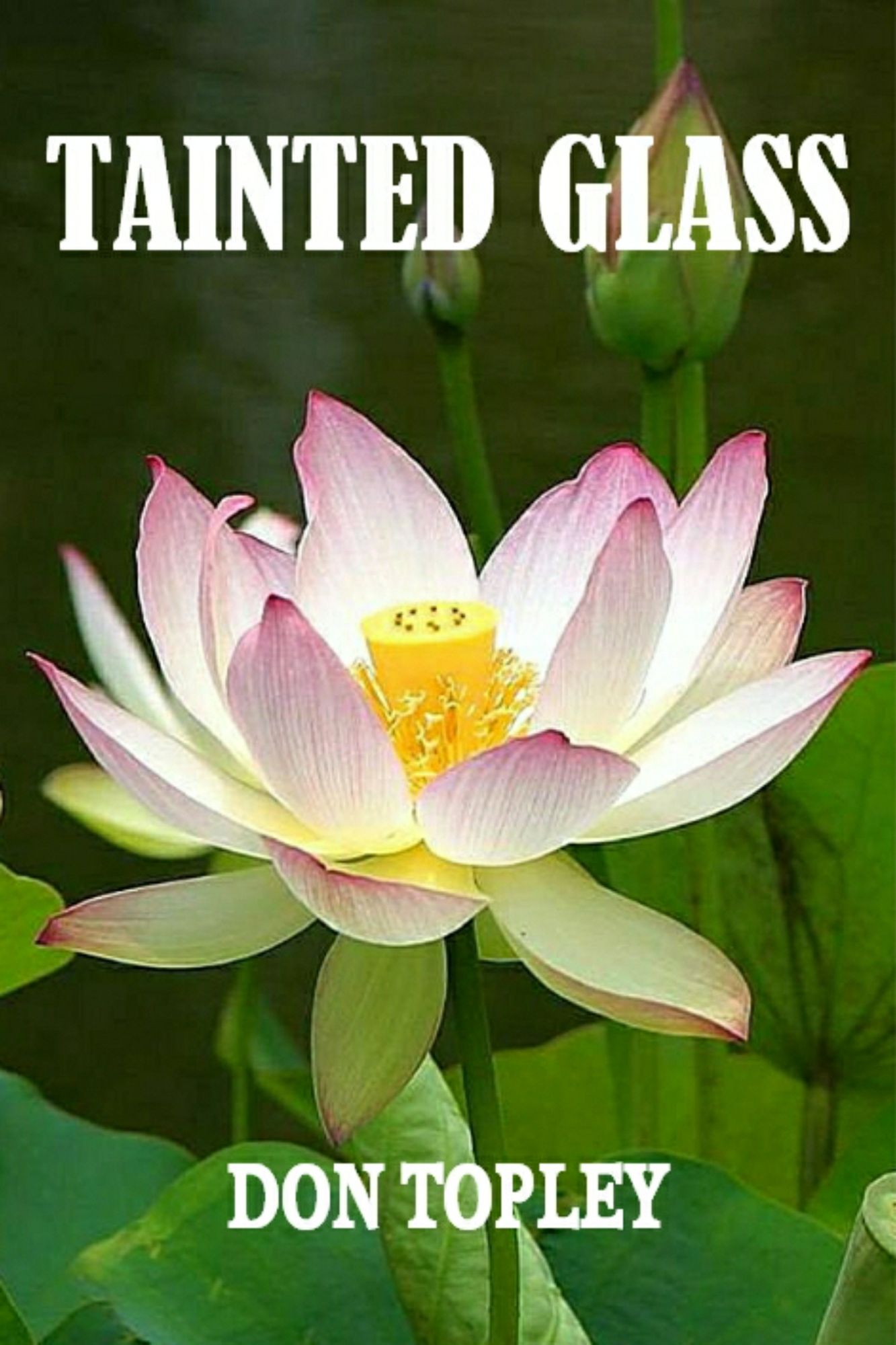 Tainted Glass