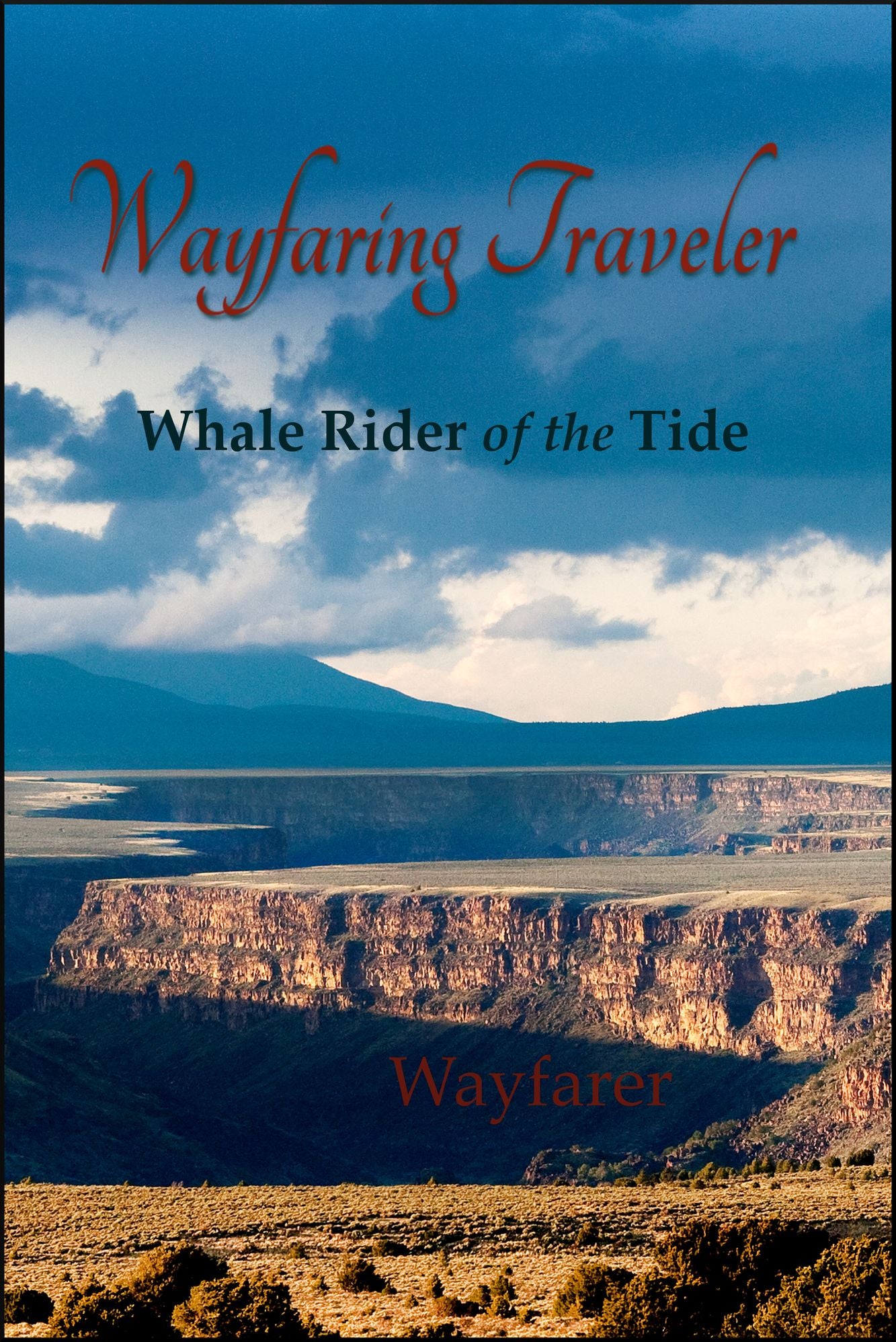Wayfaring Traveler: Whale Rider of the Tide