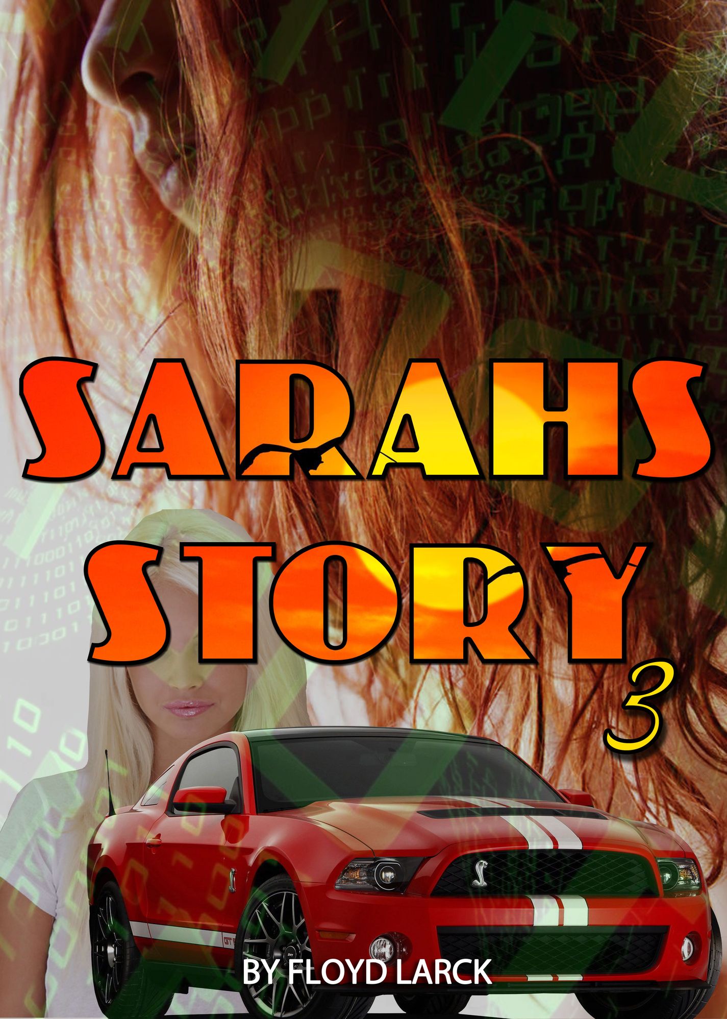 Sarah's Story III