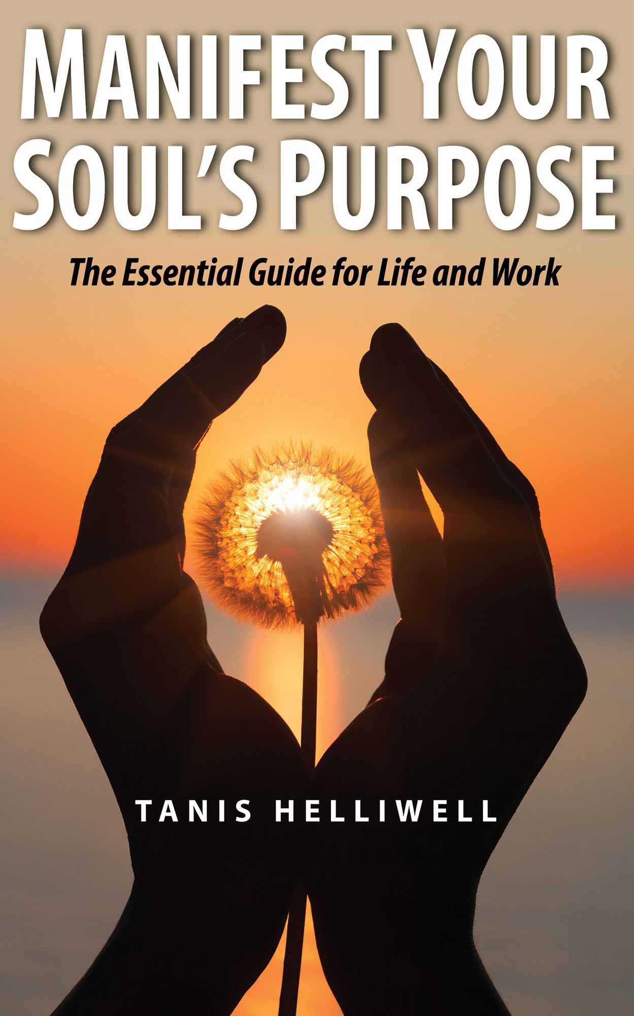 Manifest Your Soul's Purpose: The essential guide for life and work