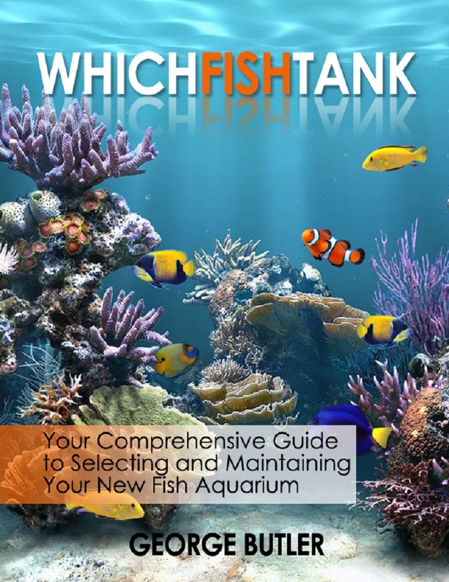 Which Fish Tank
