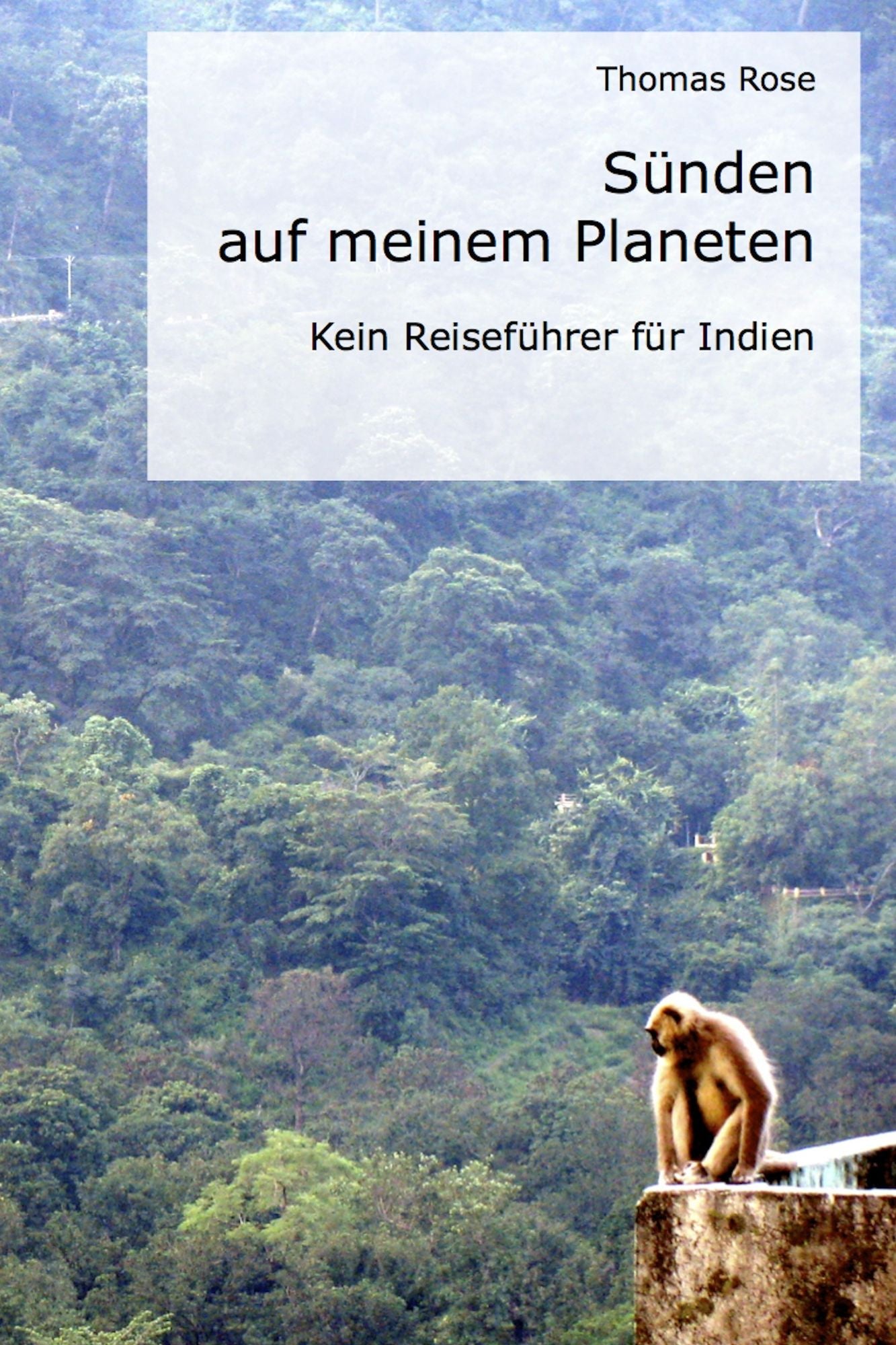 Sünden auf meinem Planeten: Kein Reiseführer für Indien