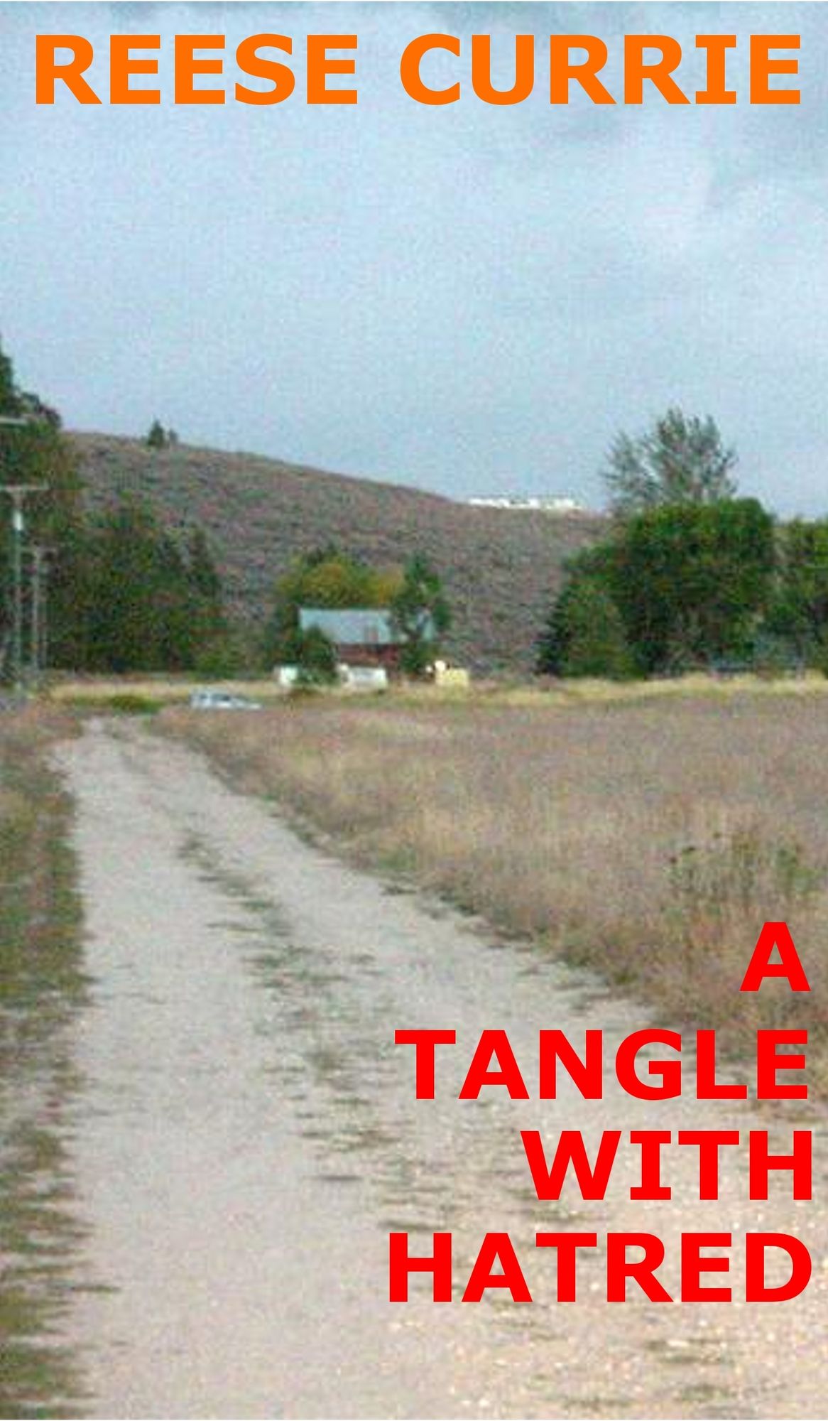 A Tangle With Hatred