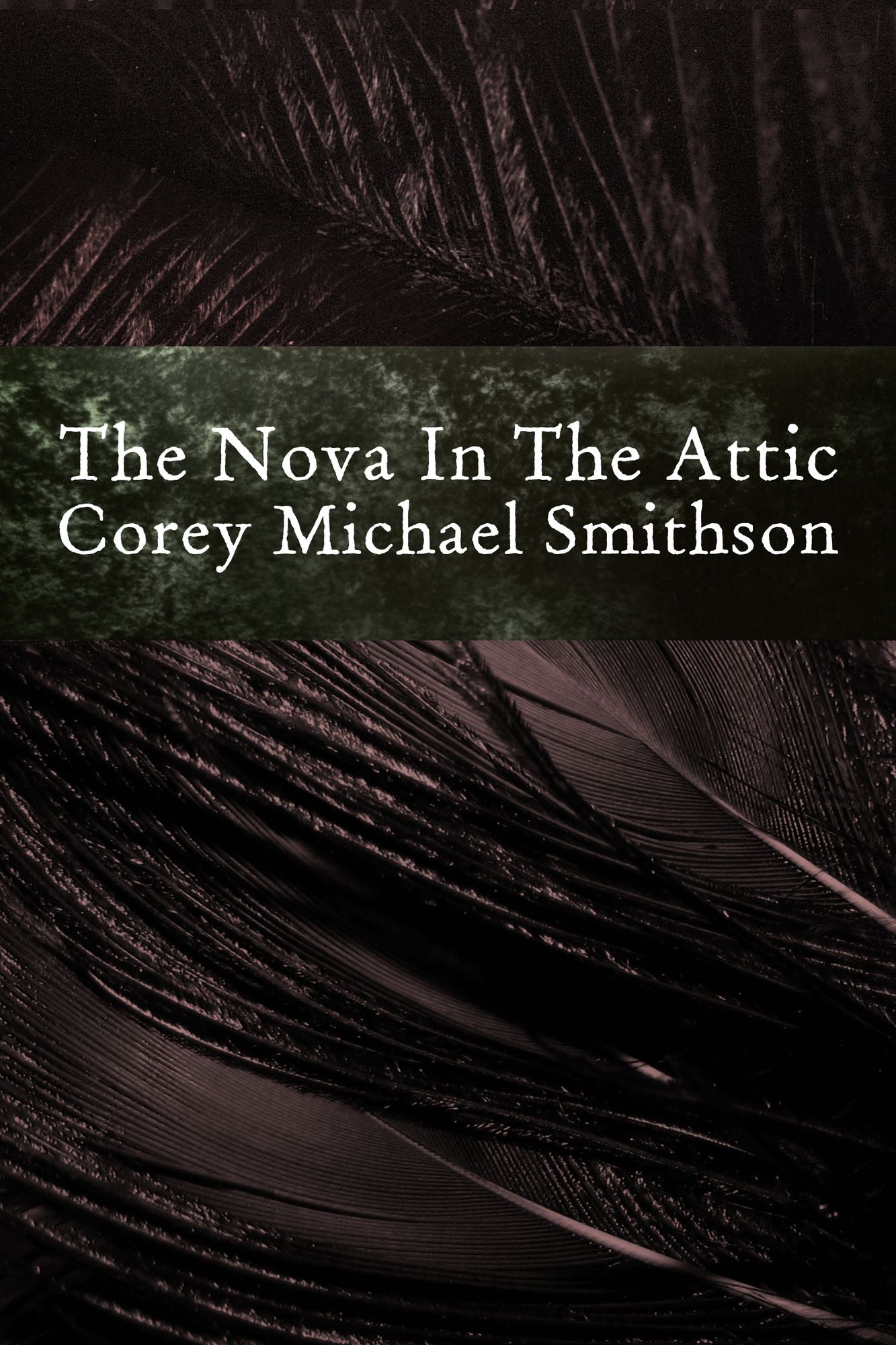 The Nova In The Attic