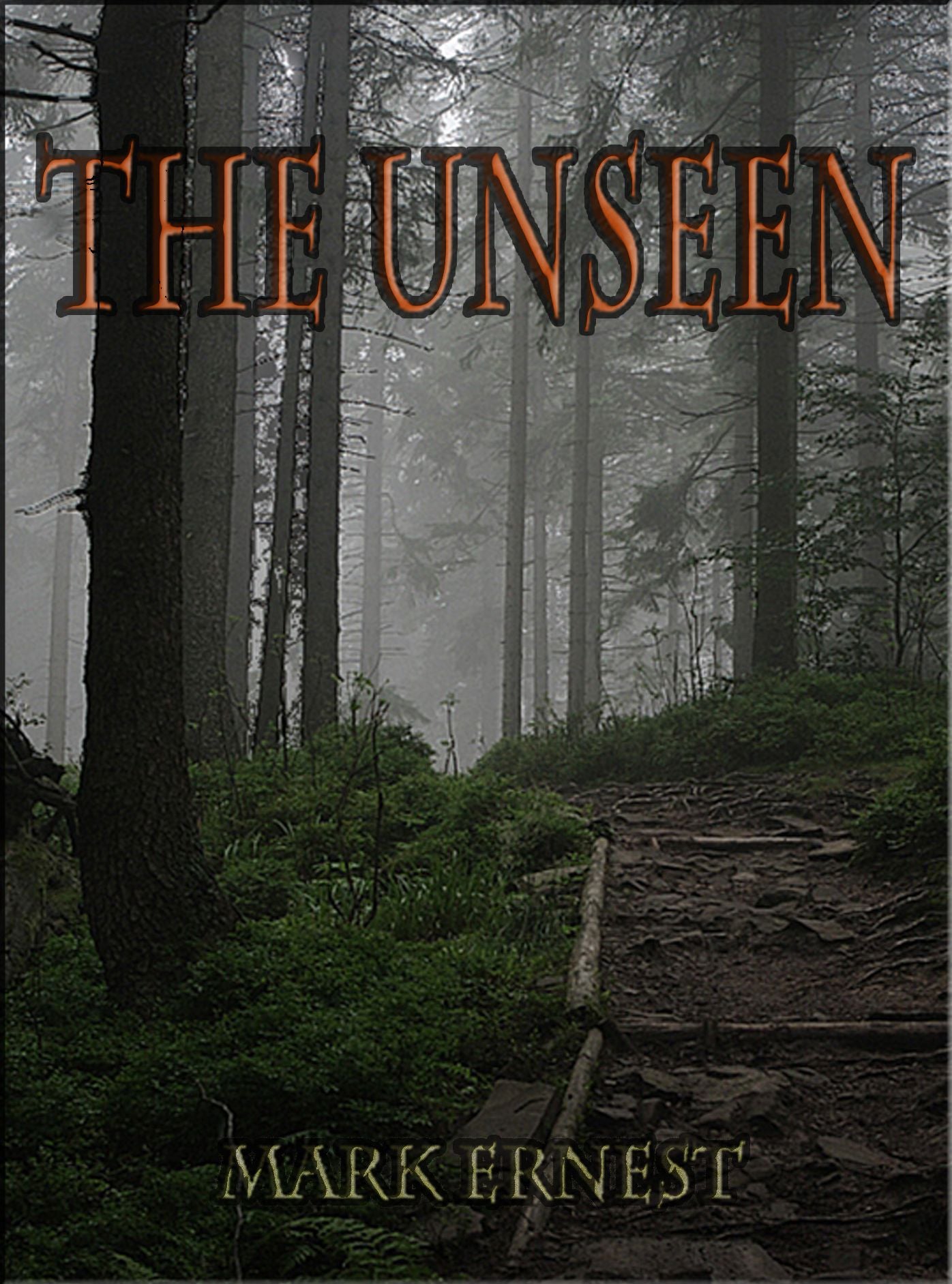 The Unseen