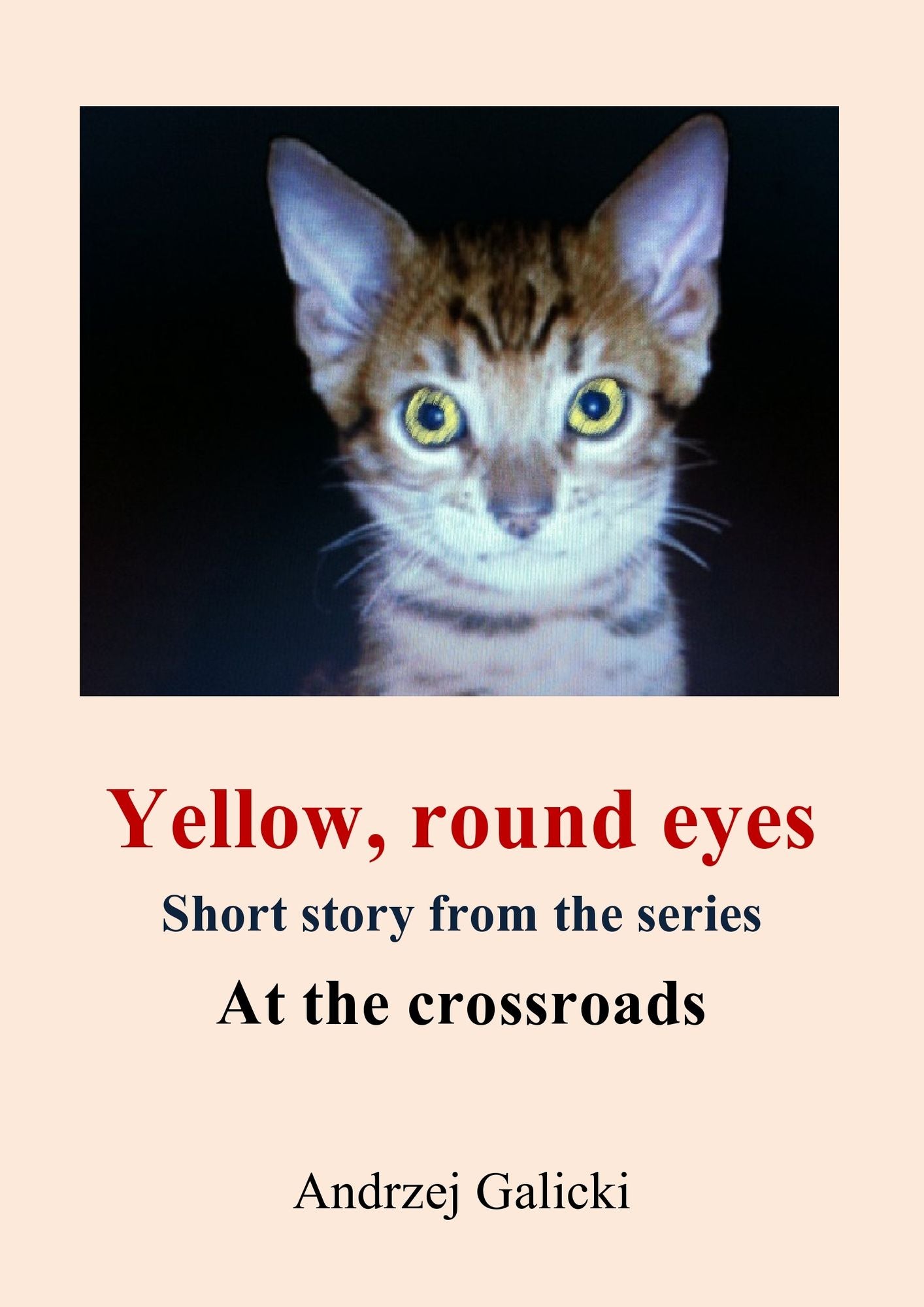 Yellow, round eyes: Mystery short story