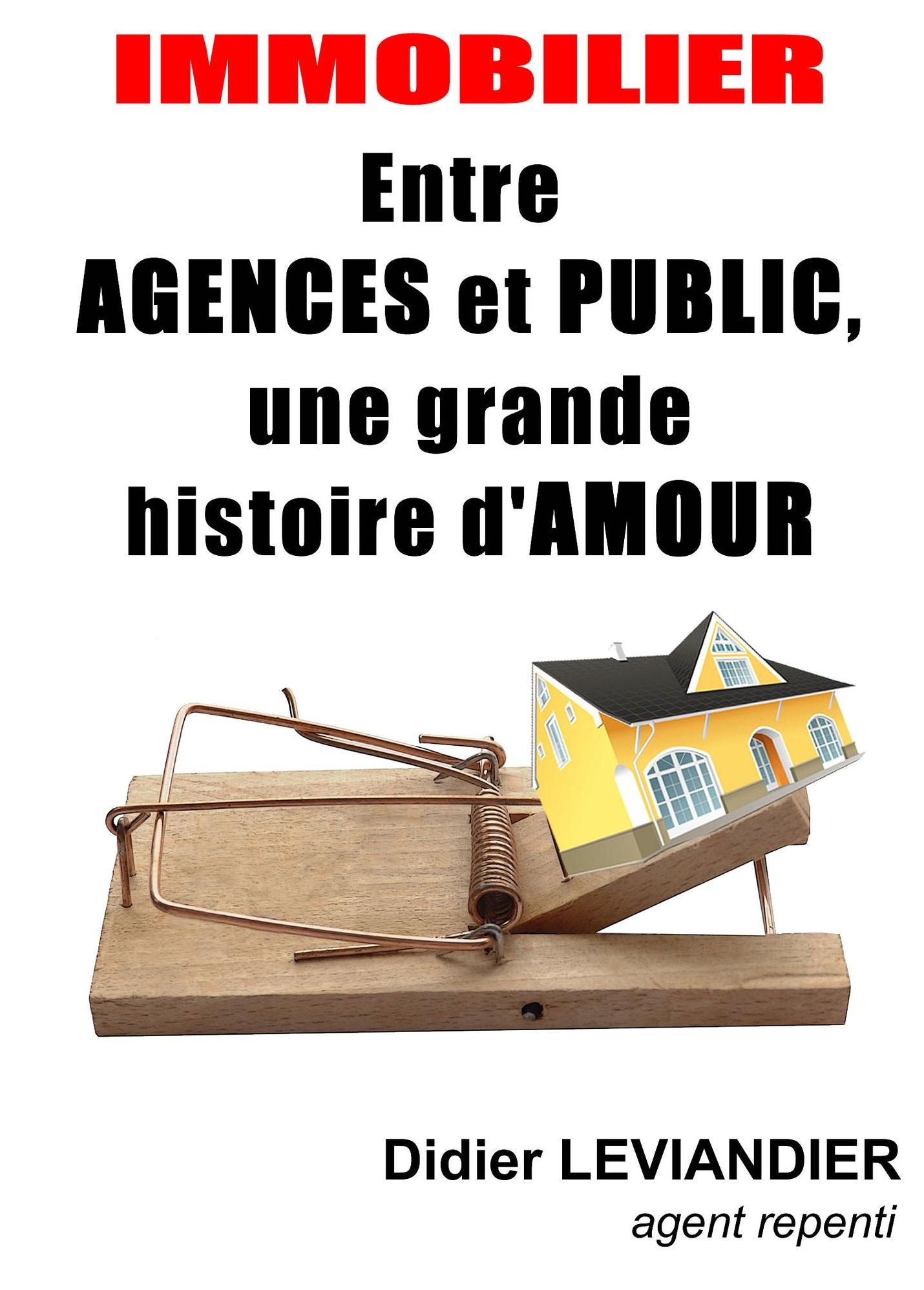 Immobilier: entre agences et public, une grande histoire d'amour