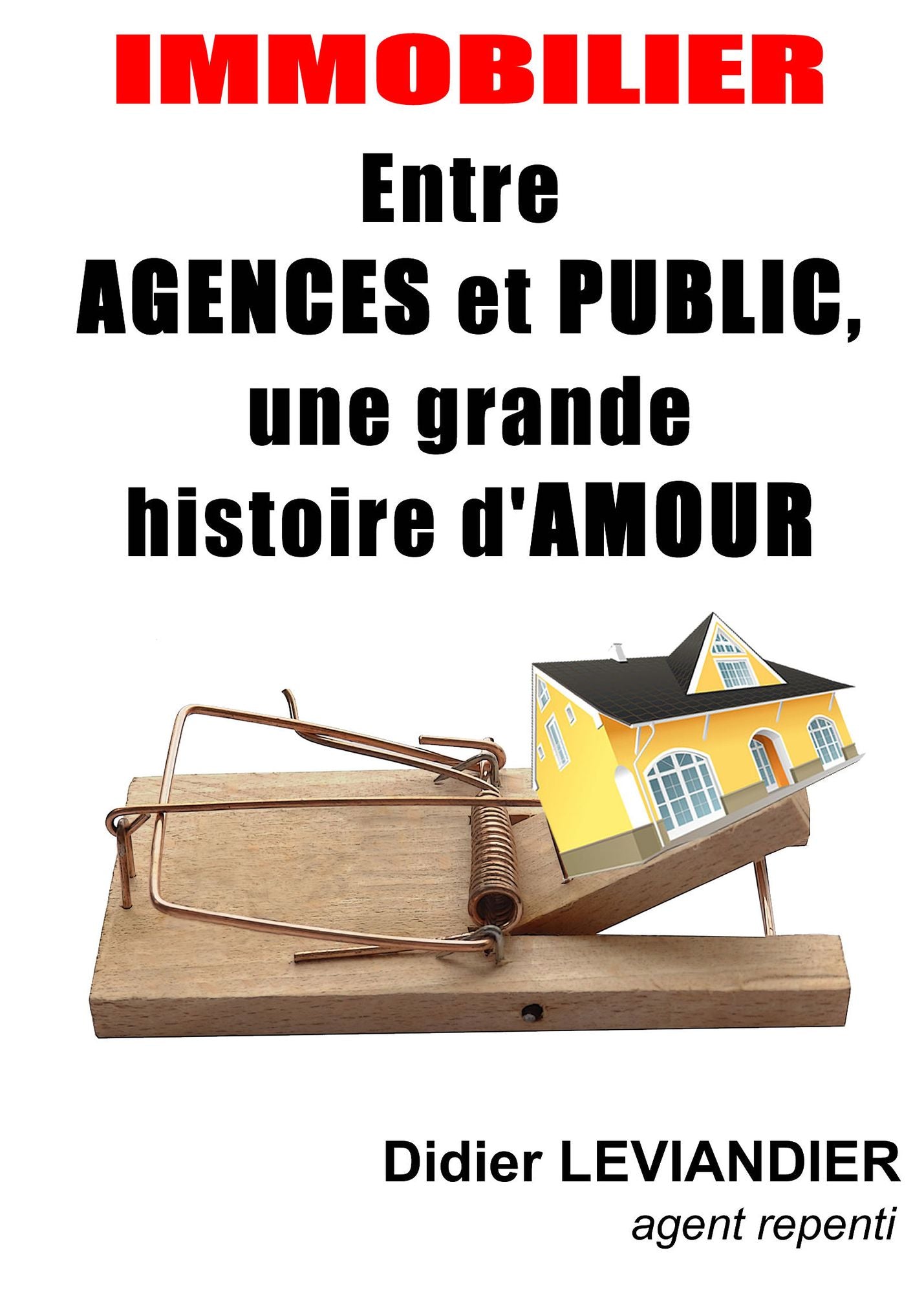 Immobilier: entre agences et public, une grande histoire d'amour
