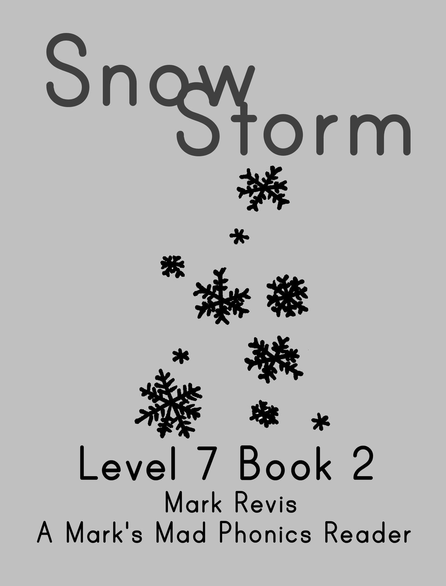 Snow Storm