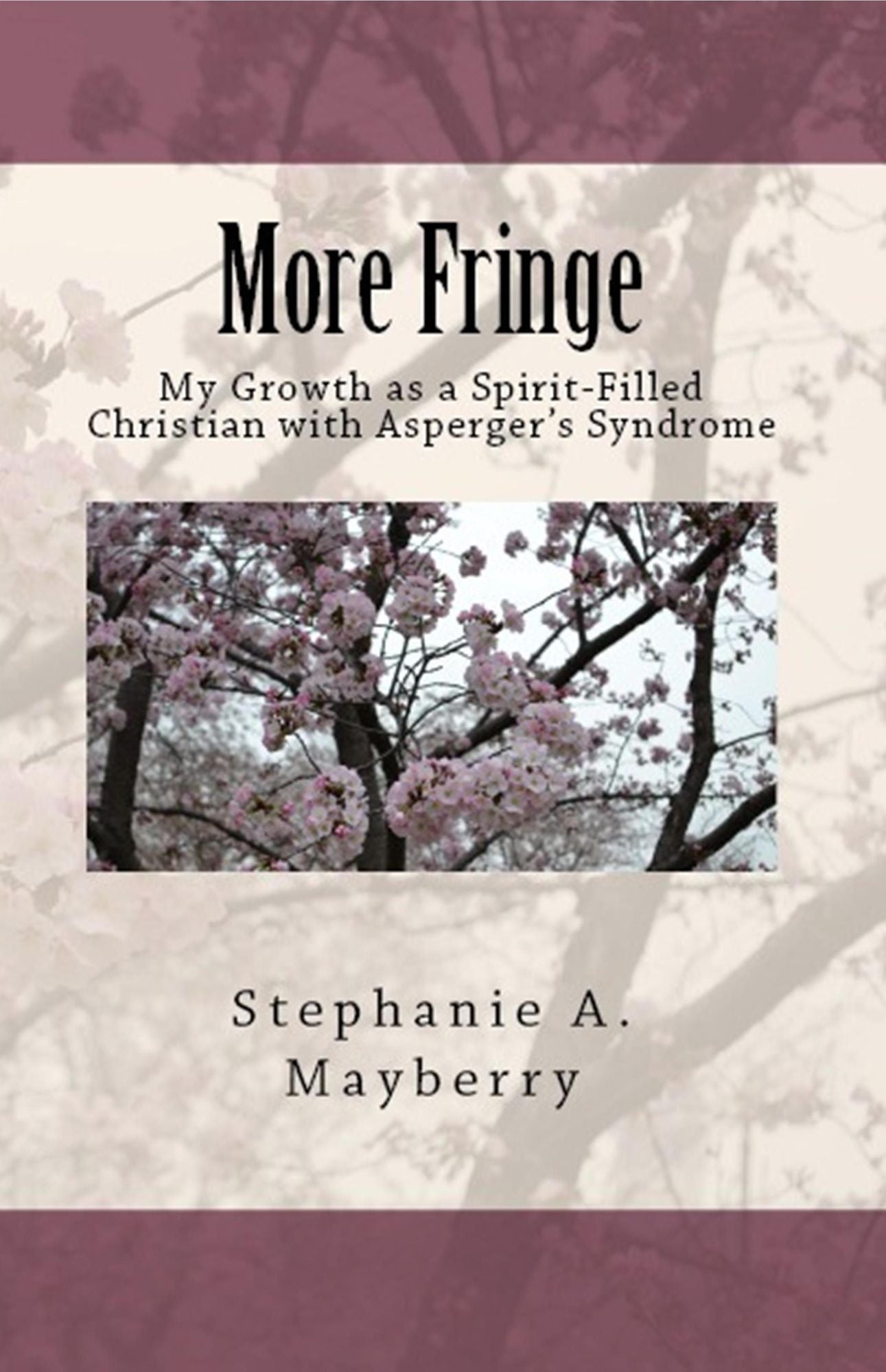 More Fringe: My Growth as a Spirit-Filled Christian with Asperger's Syndrome