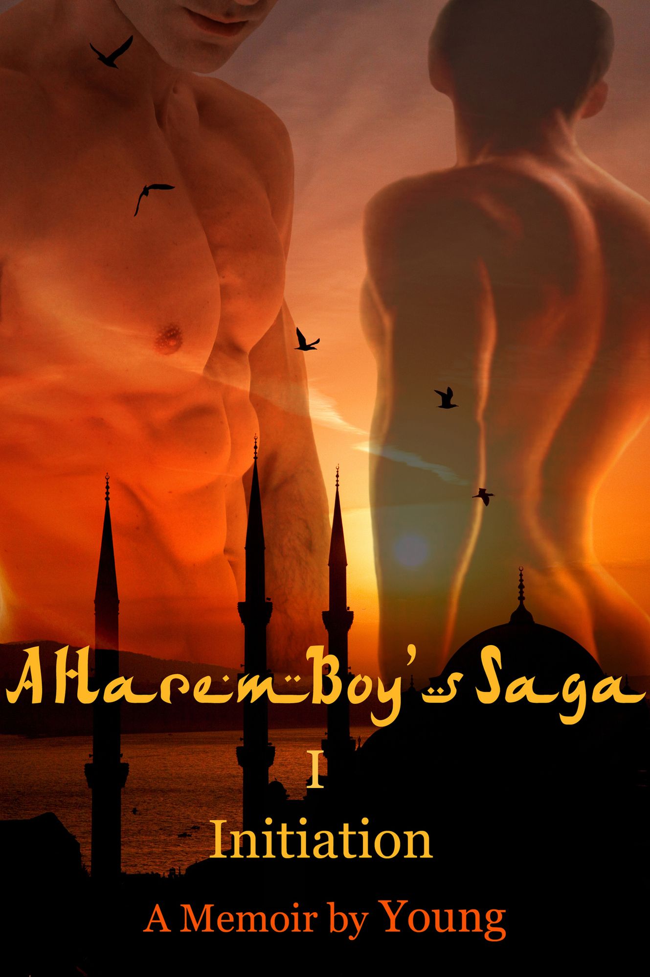 A Harem Boy's Saga - I - Initiation (revised edition)