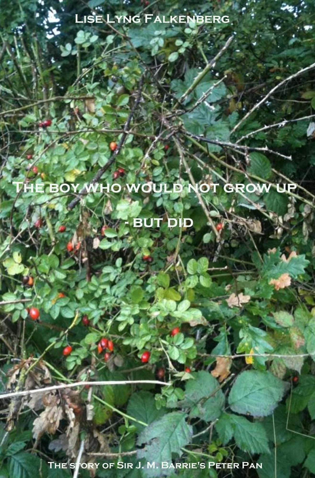 The Boy Who Would Not Grow Up: But Did