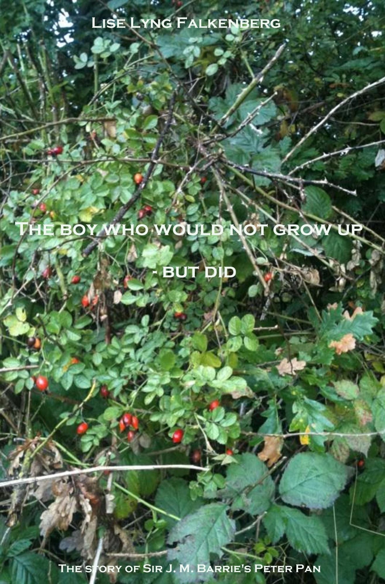 The Boy Who Would Not Grow Up: But Did