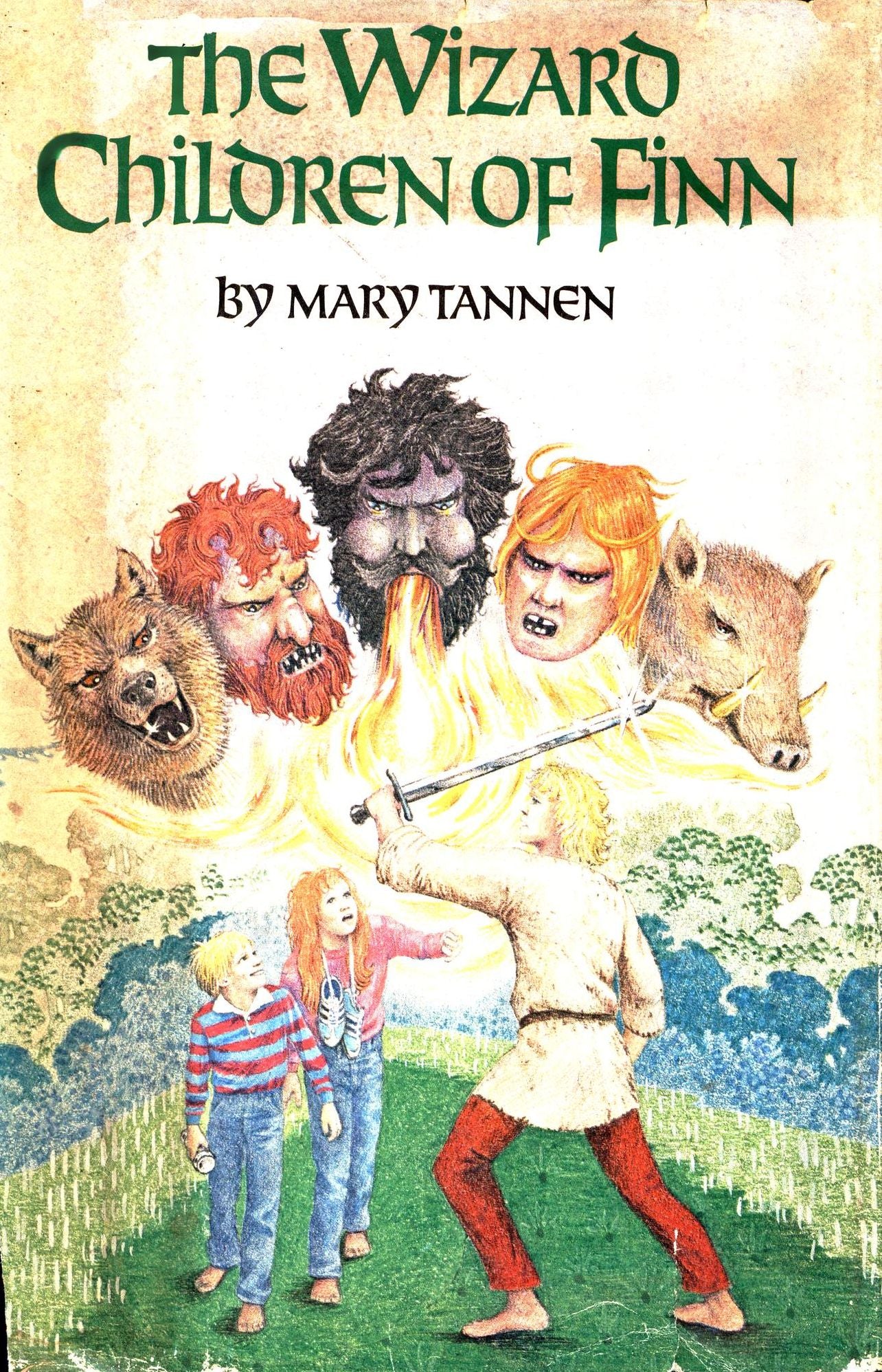 The Wizard Children of Finn