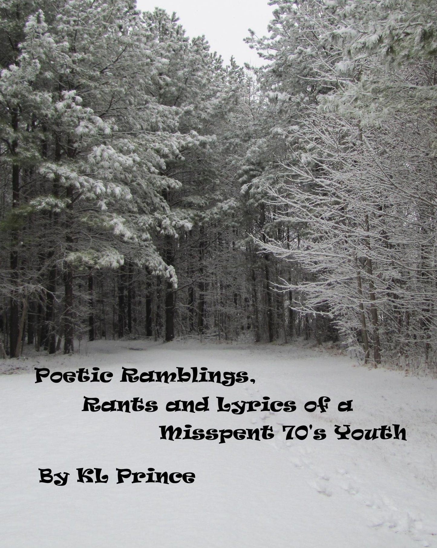 Poetic Ramblings, Rants and Lyrics of a Misspent 70's Youth