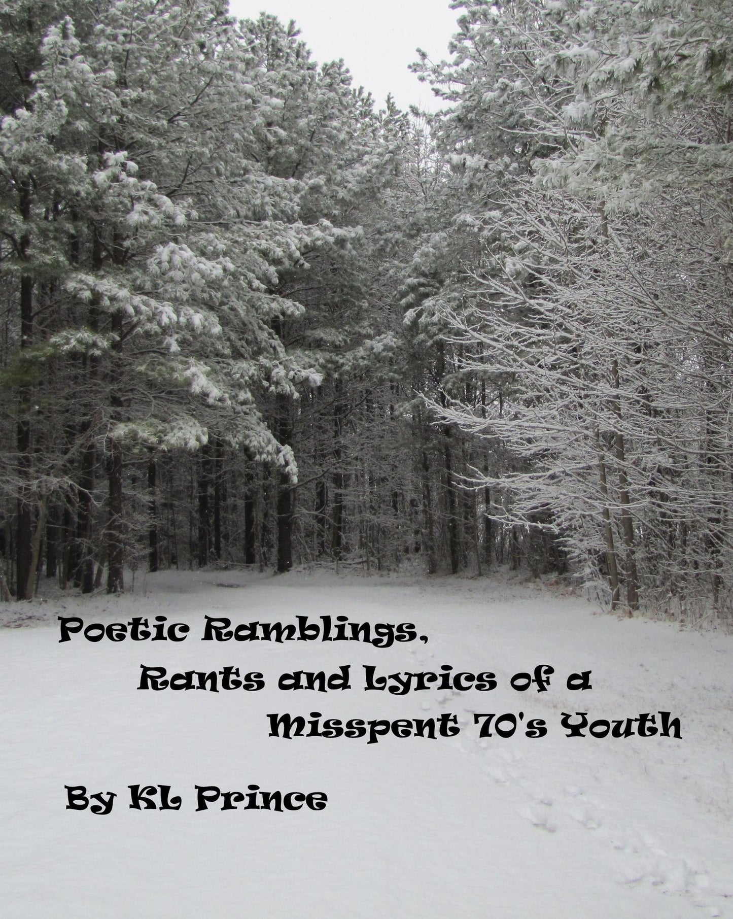 Poetic Ramblings, Rants and Lyrics of a Misspent 70's Youth