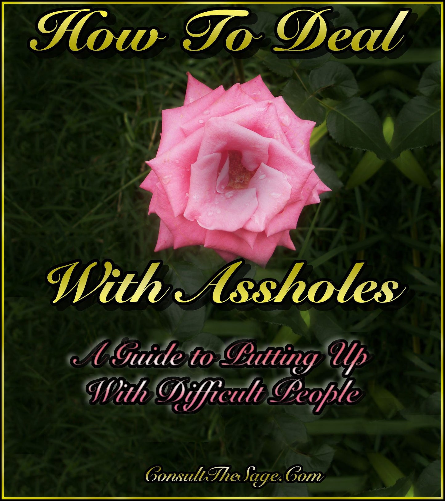 How To Deal With Assholes: A Guide To Putting Up With Difficult People